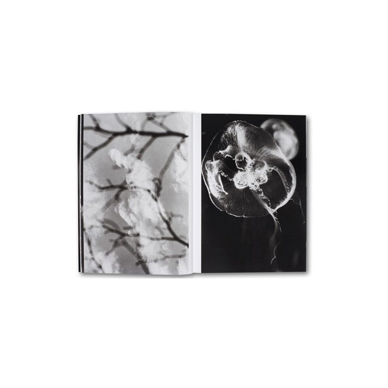 Kikuji Kawada - The Last Cosmology