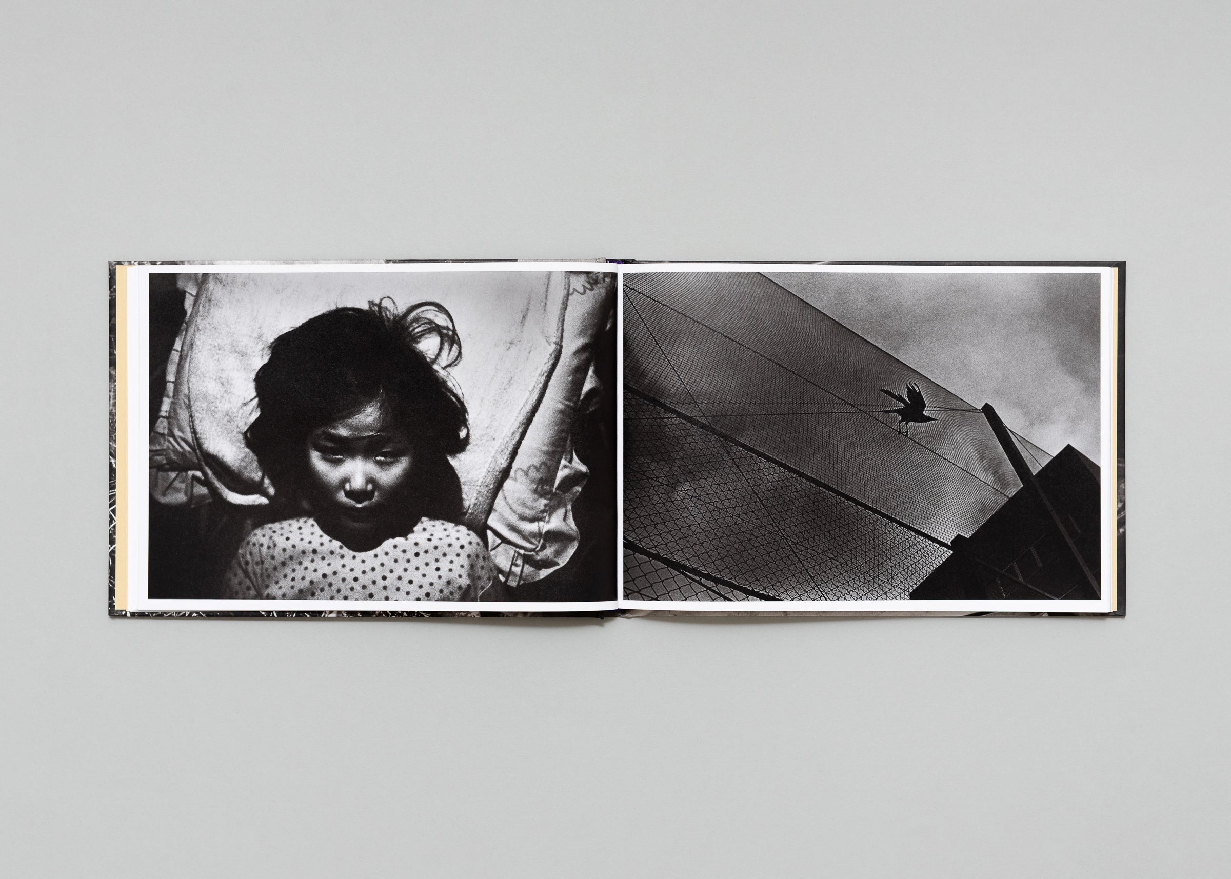 Eriko Masaoka - In the Flap of a Bird's Wing, Water Dries Up