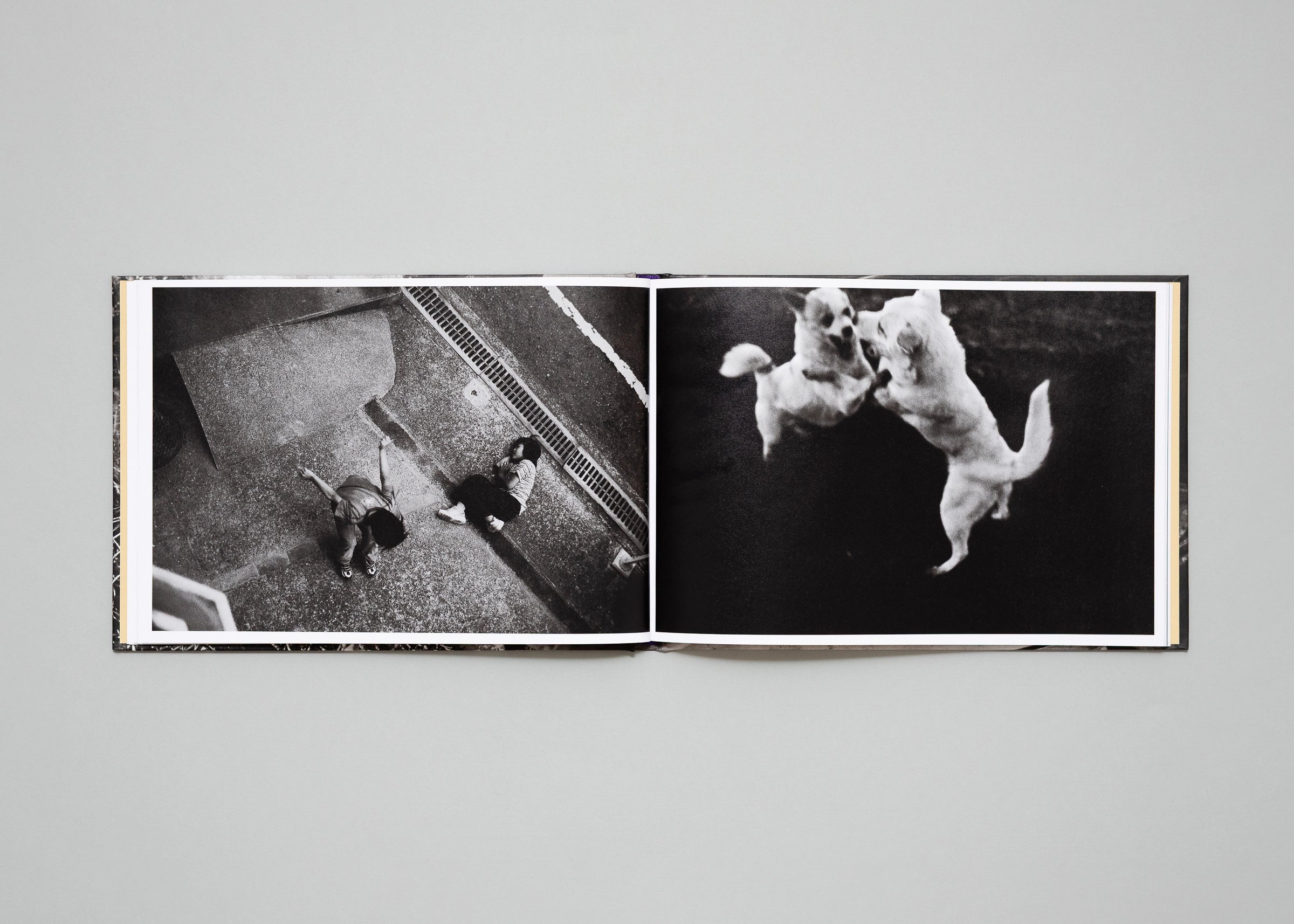 Eriko Masaoka - In the Flap of a Bird's Wing, Water Dries Up