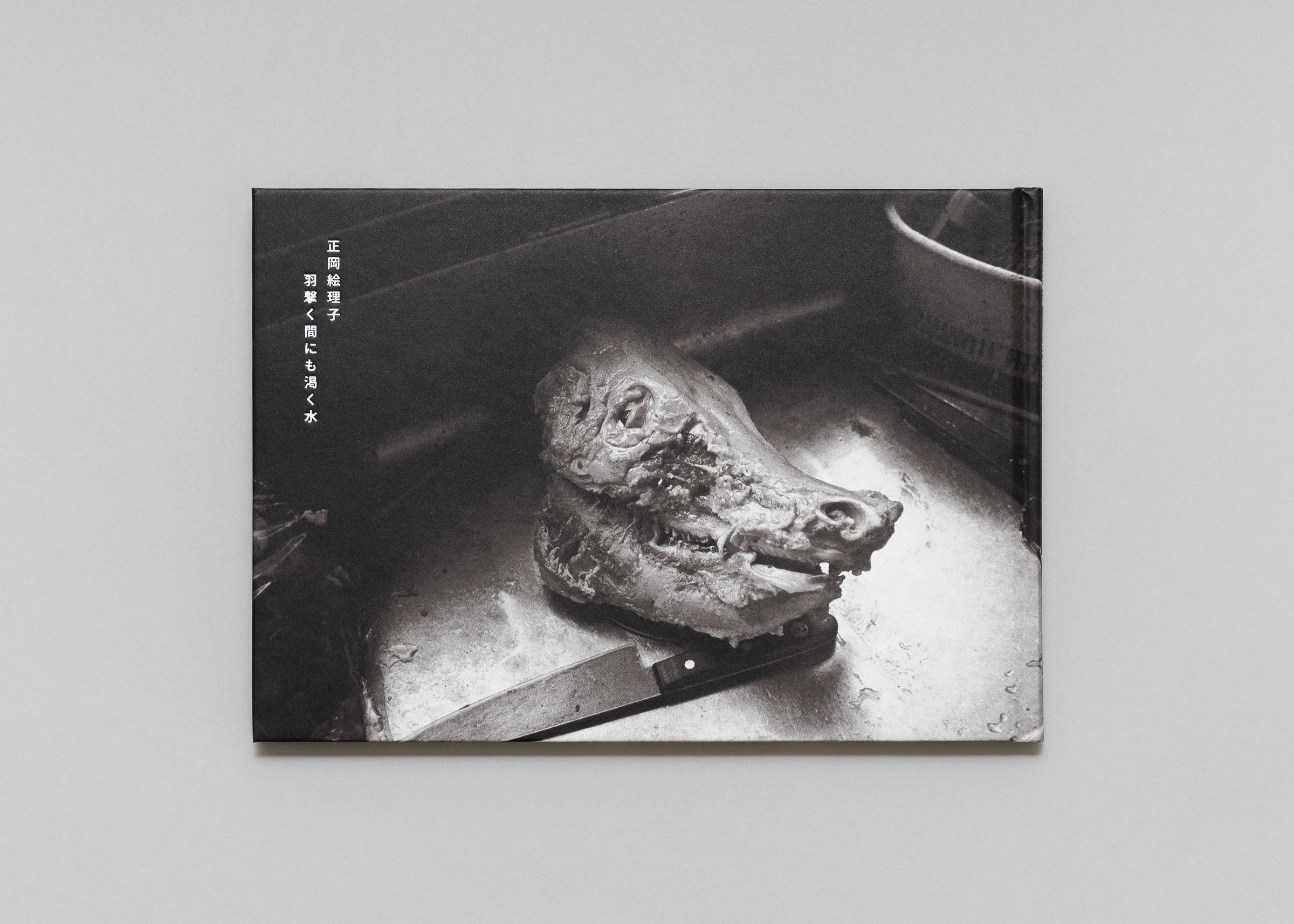 Eriko Masaoka - In the Flap of a Bird's Wing, Water Dries Up