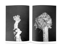 Load image into Gallery viewer, Natalie Malisse - The Big House