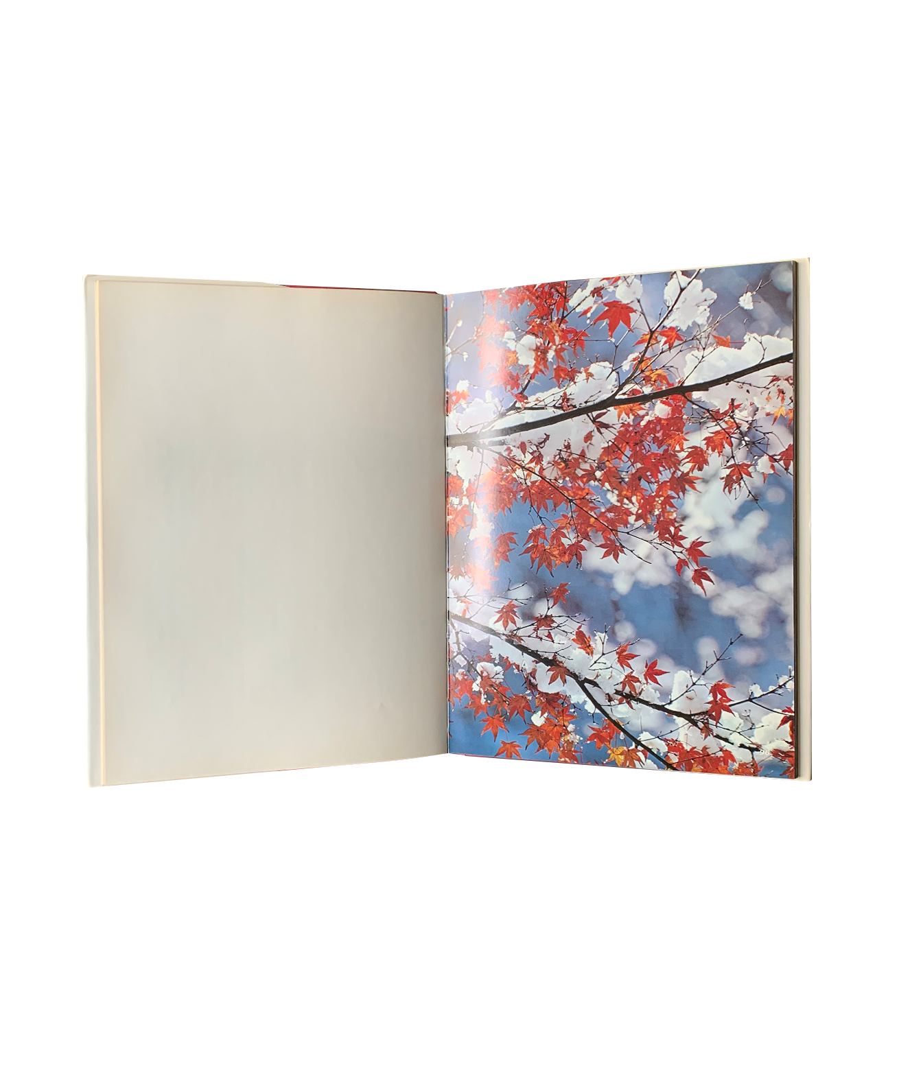 Ken Domon - Fukei
