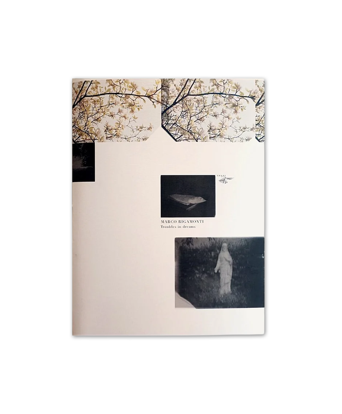 Marco Rigamonti - Troubles in Dreams