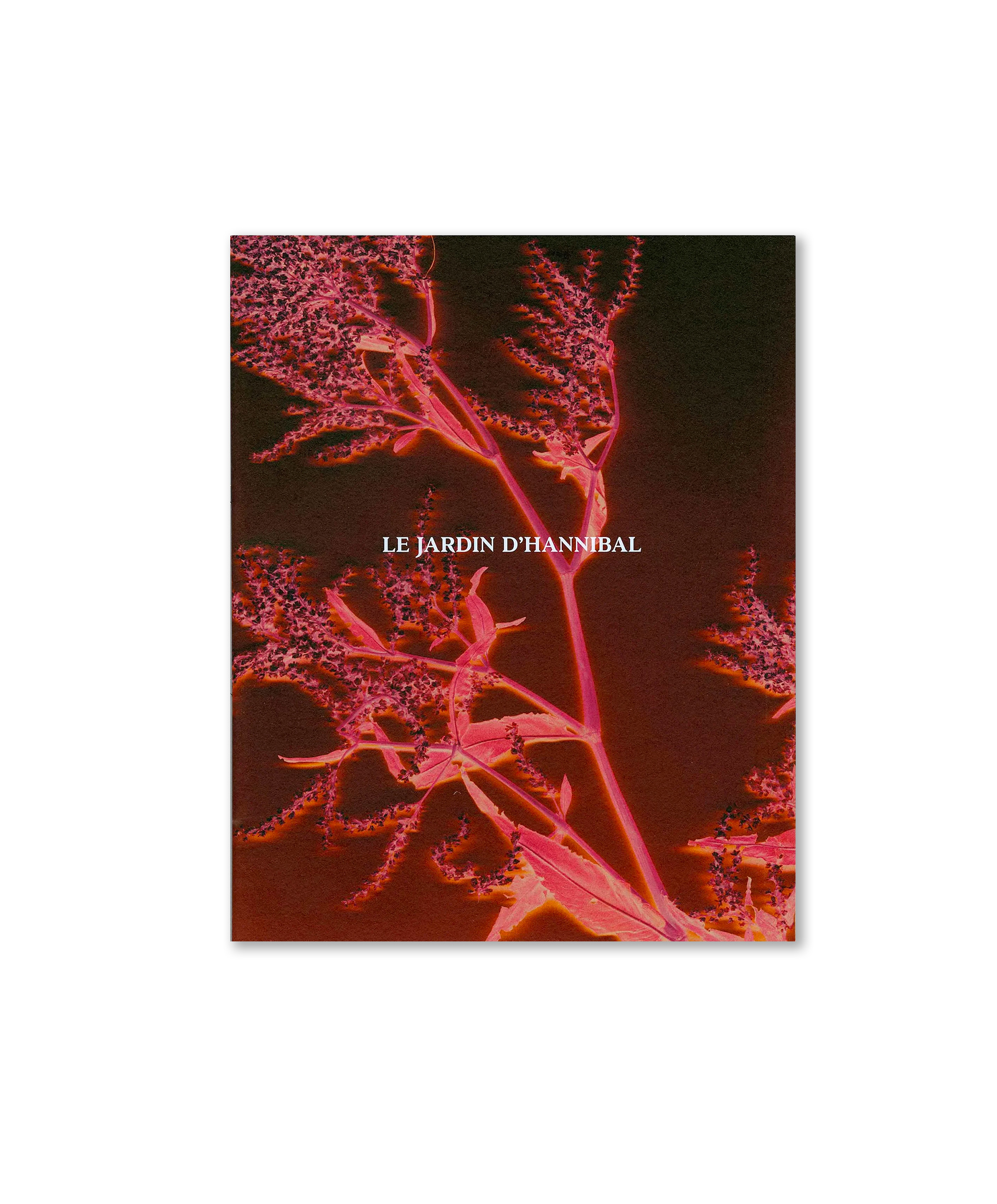 Marine Lanier - Le jardin d'Hannibal