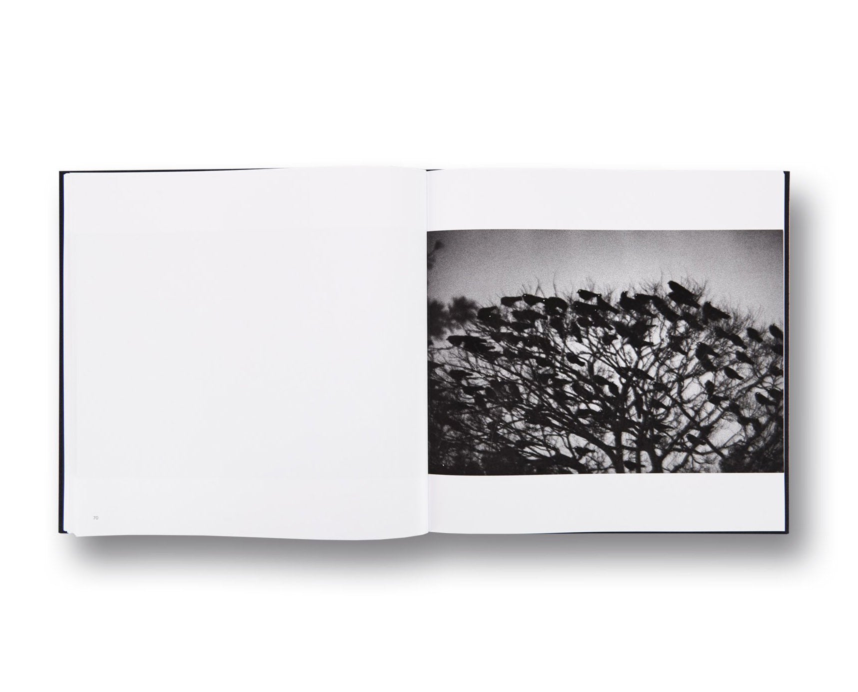 Masahisa Fukase - Solitude of Ravens