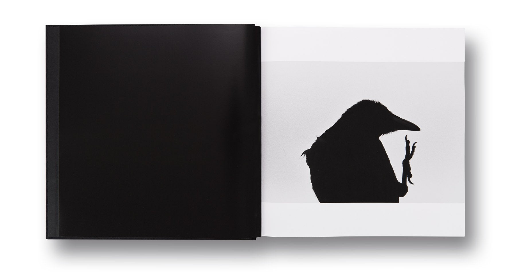Masahisa Fukase - Solitude of Ravens