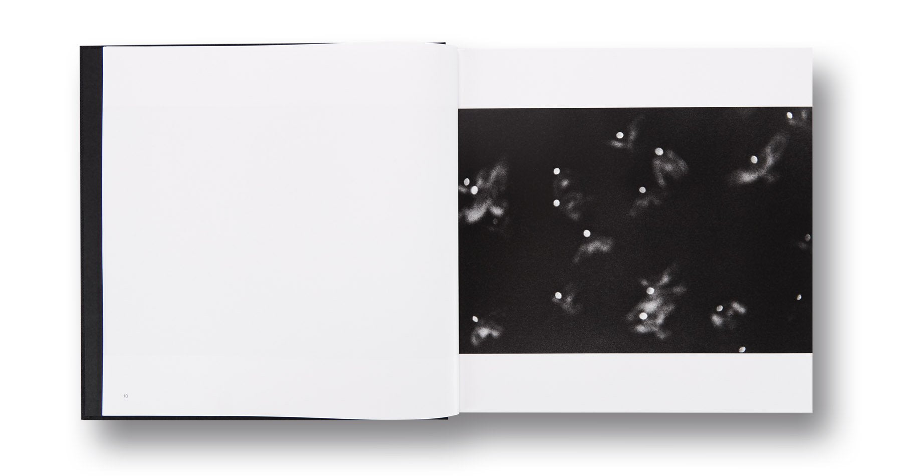 Masahisa Fukase - Solitude of Ravens