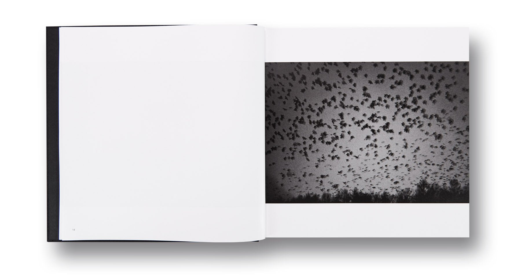 Masahisa Fukase - Solitude of Ravens