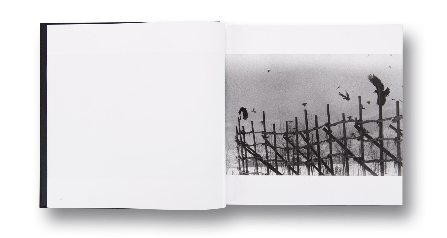 Masahisa Fukase - Solitude of Ravens