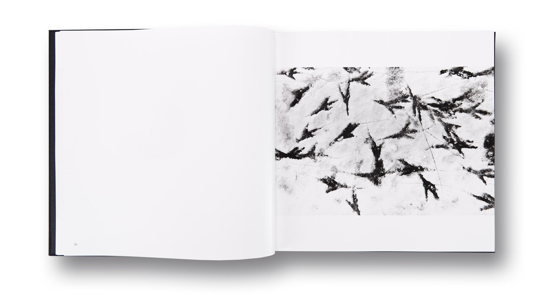 Masahisa Fukase - Solitude of Ravens