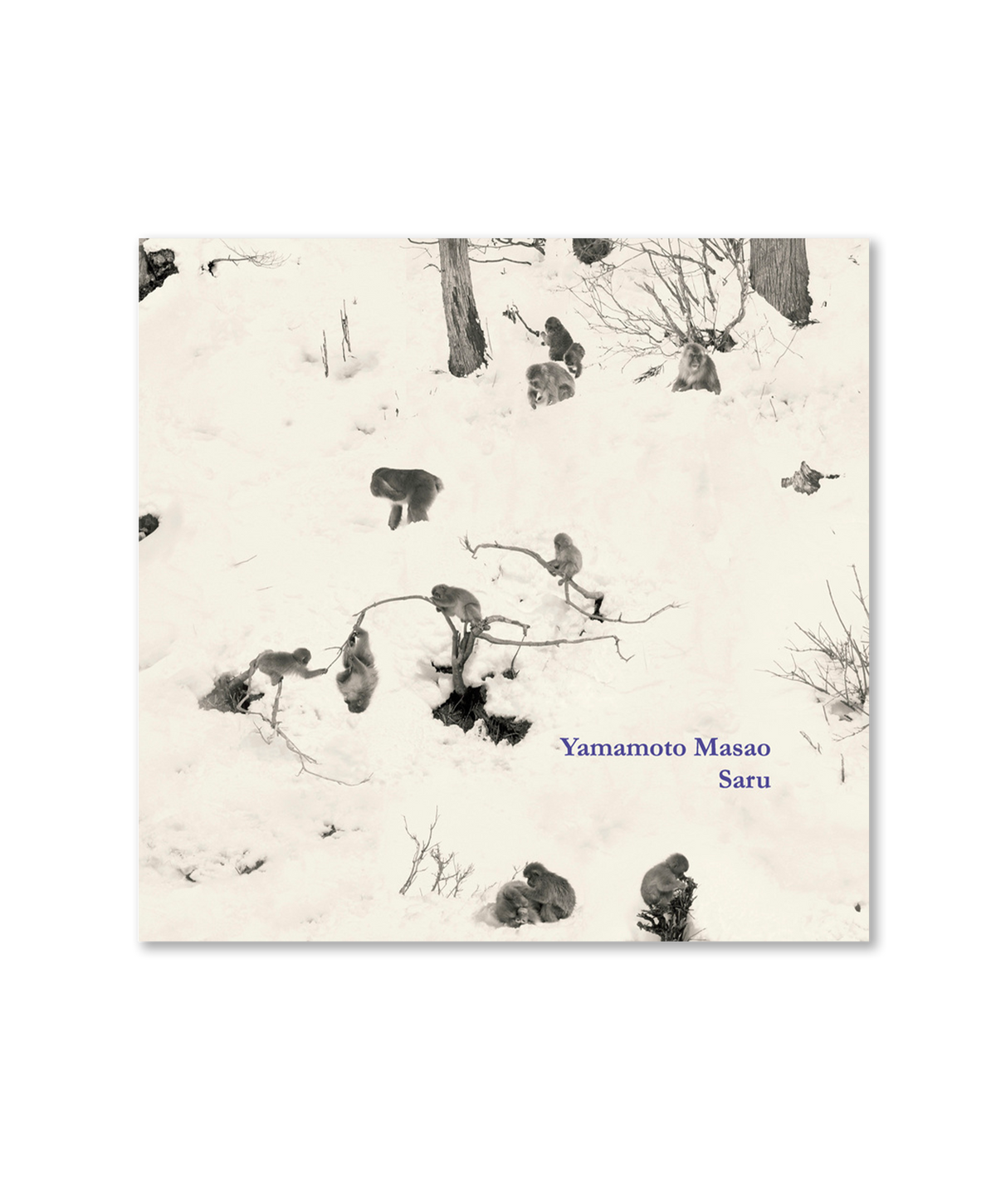 Masao Yamamoto - Saru