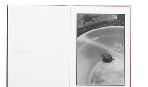 Koji Onaka - Black Frame Vertical Position