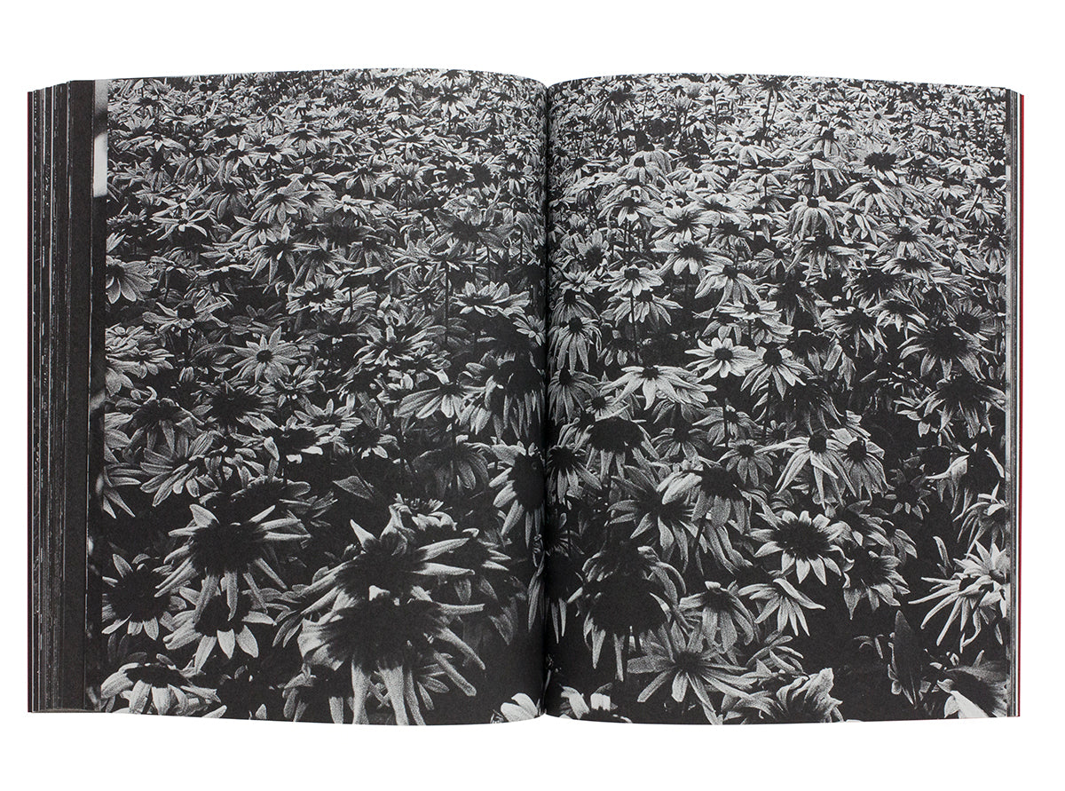 Daido Moriyama - Reflection and Refraction