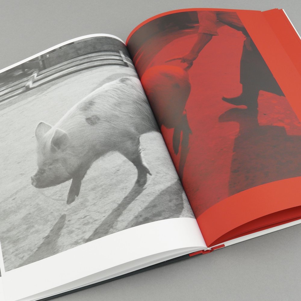 Masahisa Fukase - Kill The Pig – Galerie Écho
