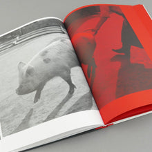 Load image into Gallery viewer, Masahisa Fukase - Kill The Pig