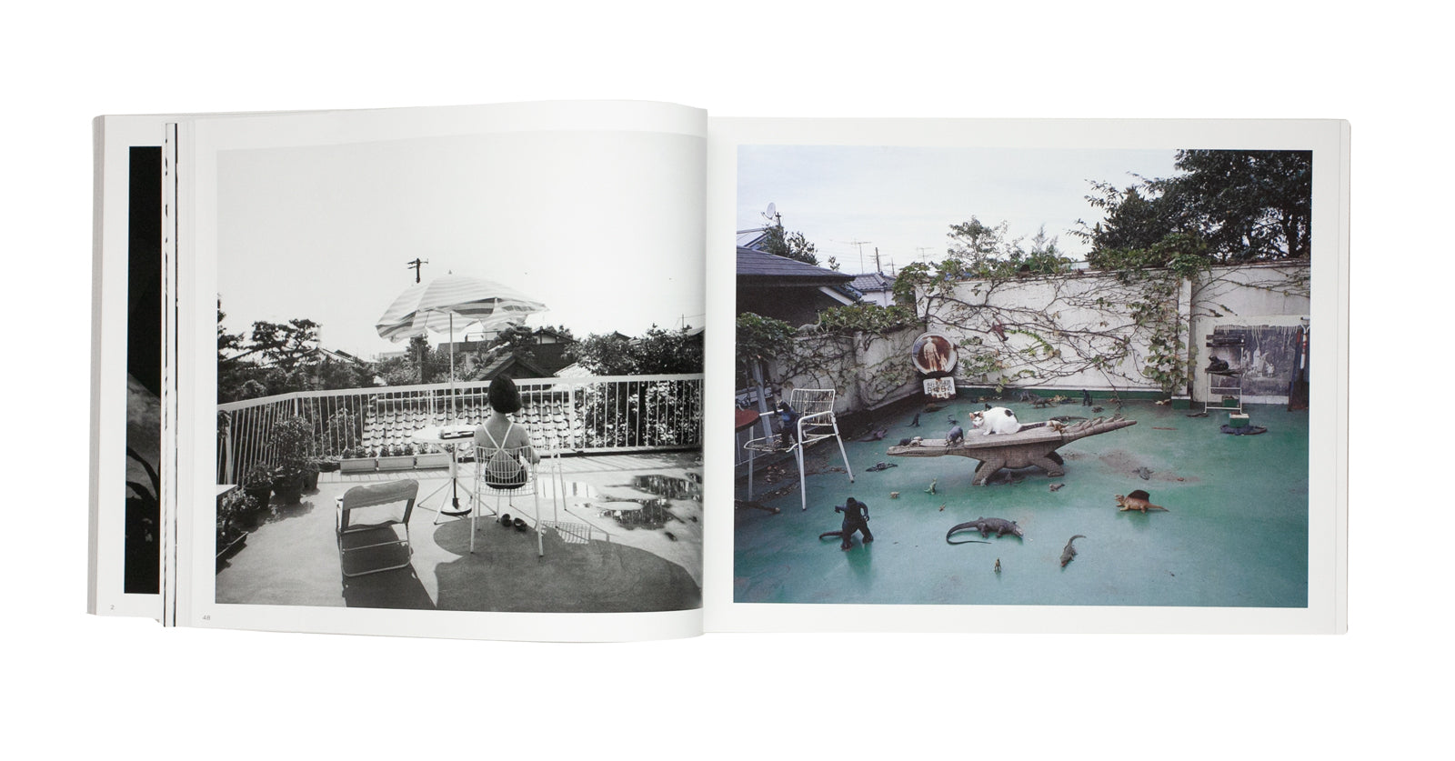 Nobuyoshi Araki - Ojo Shashu : Photography for the Afterlife