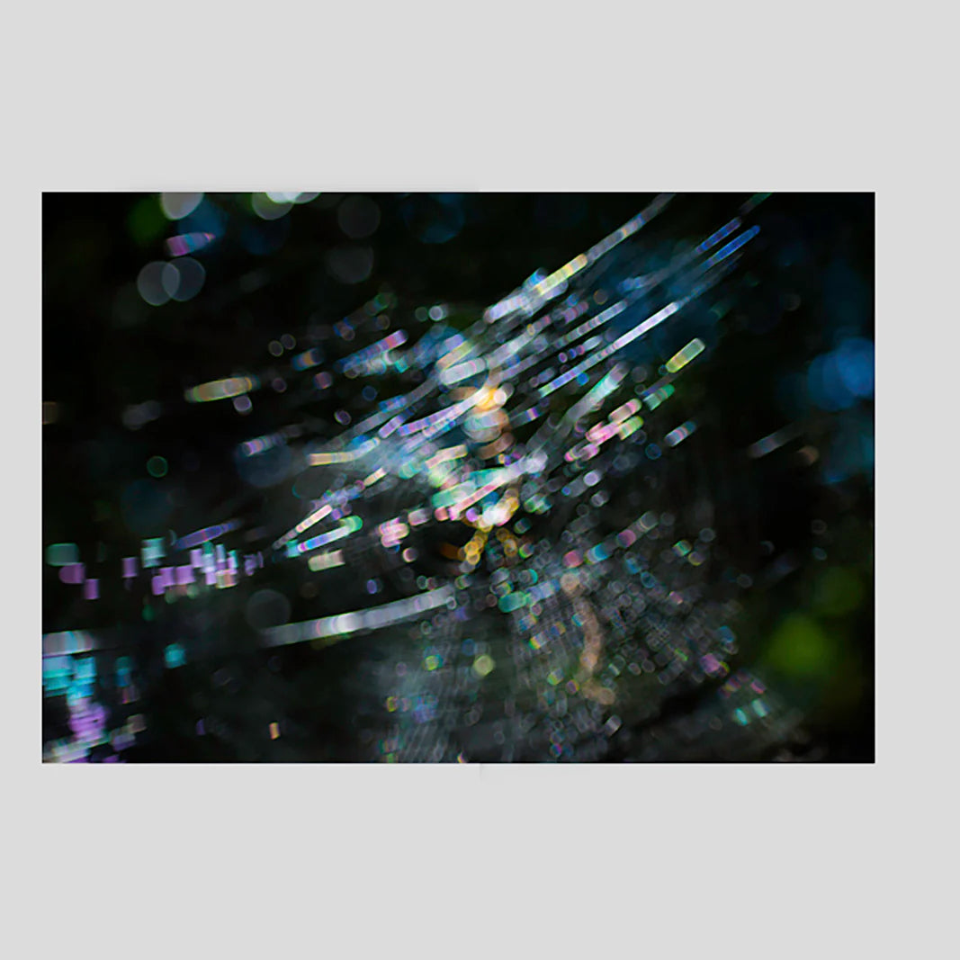 Nobuo Iida - Symphony II