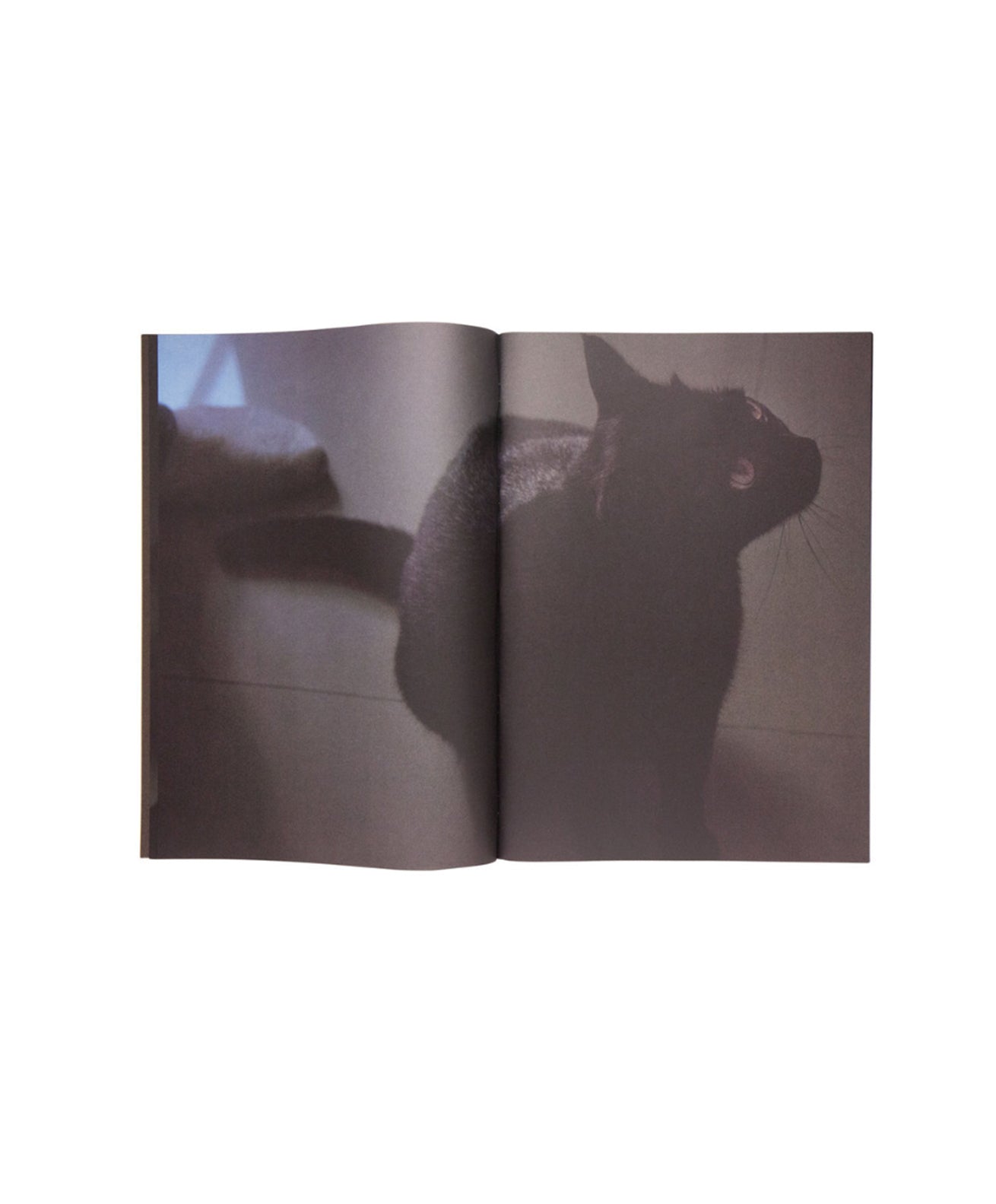 SAKIKO NOMURA - MOONLIGHT