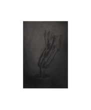 Charger l&#39;image dans la galerie, Chieko Shiraishi - Shimakage