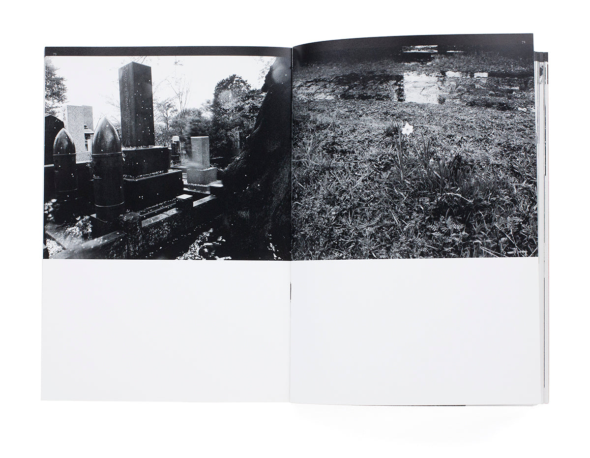 Nobuyoshi Araki - Kotoshi (this year)