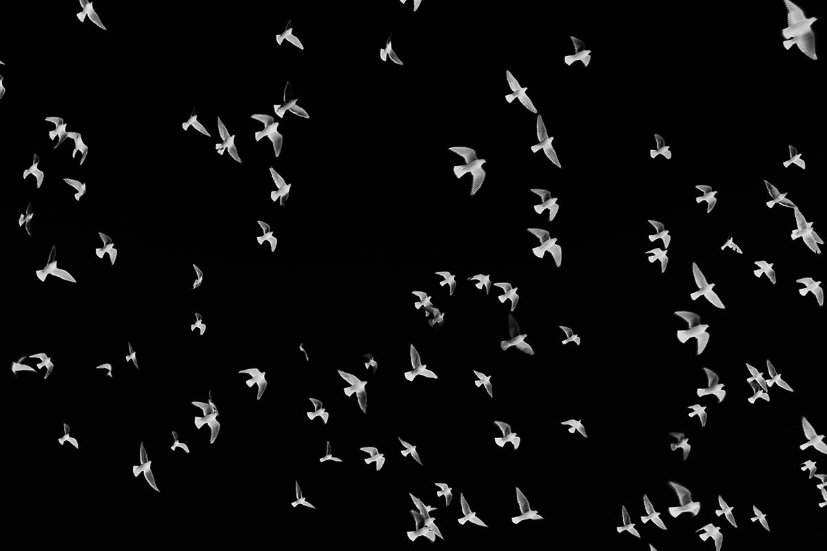 Maeva Benaiche - Staccato