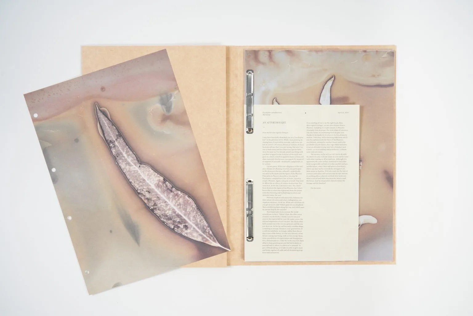 Anaïs Tondeur - Flowers of Fire
