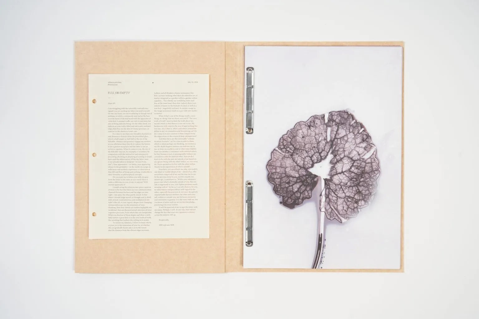 Anaïs Tondeur - Flowers of Fire