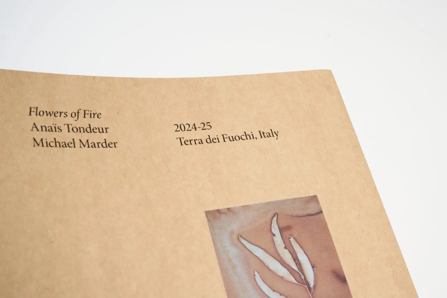 Anaïs Tondeur - Flowers of Fire