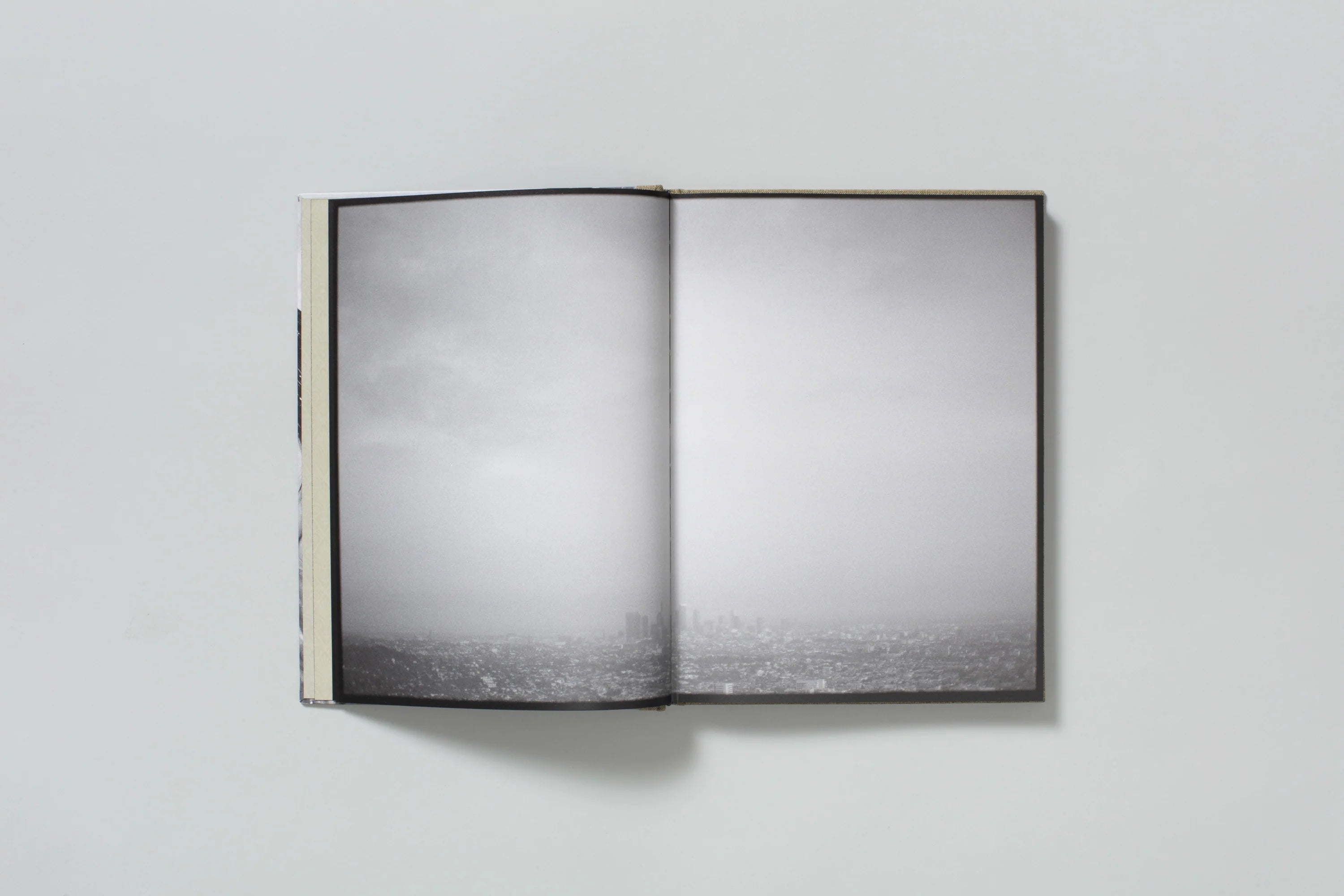 Swan Moon's Swan Moon