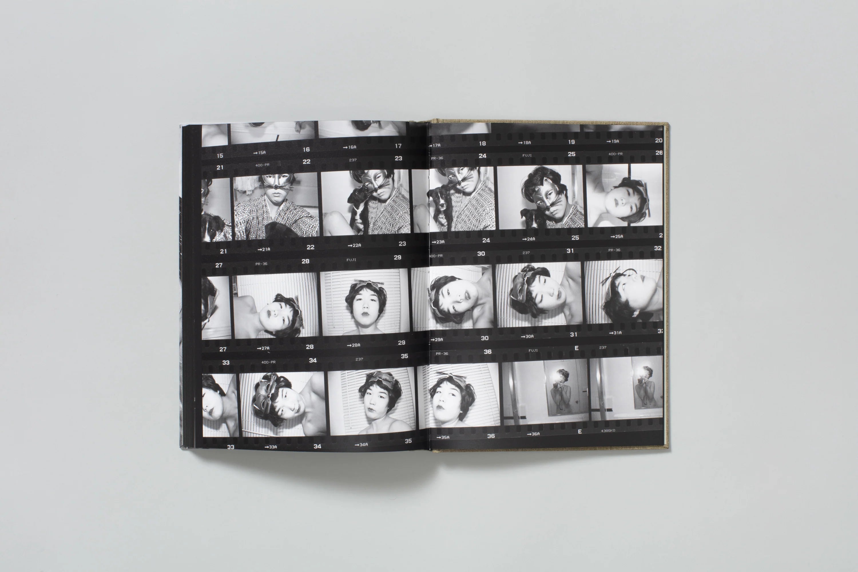 Swan Moon's Swan Moon