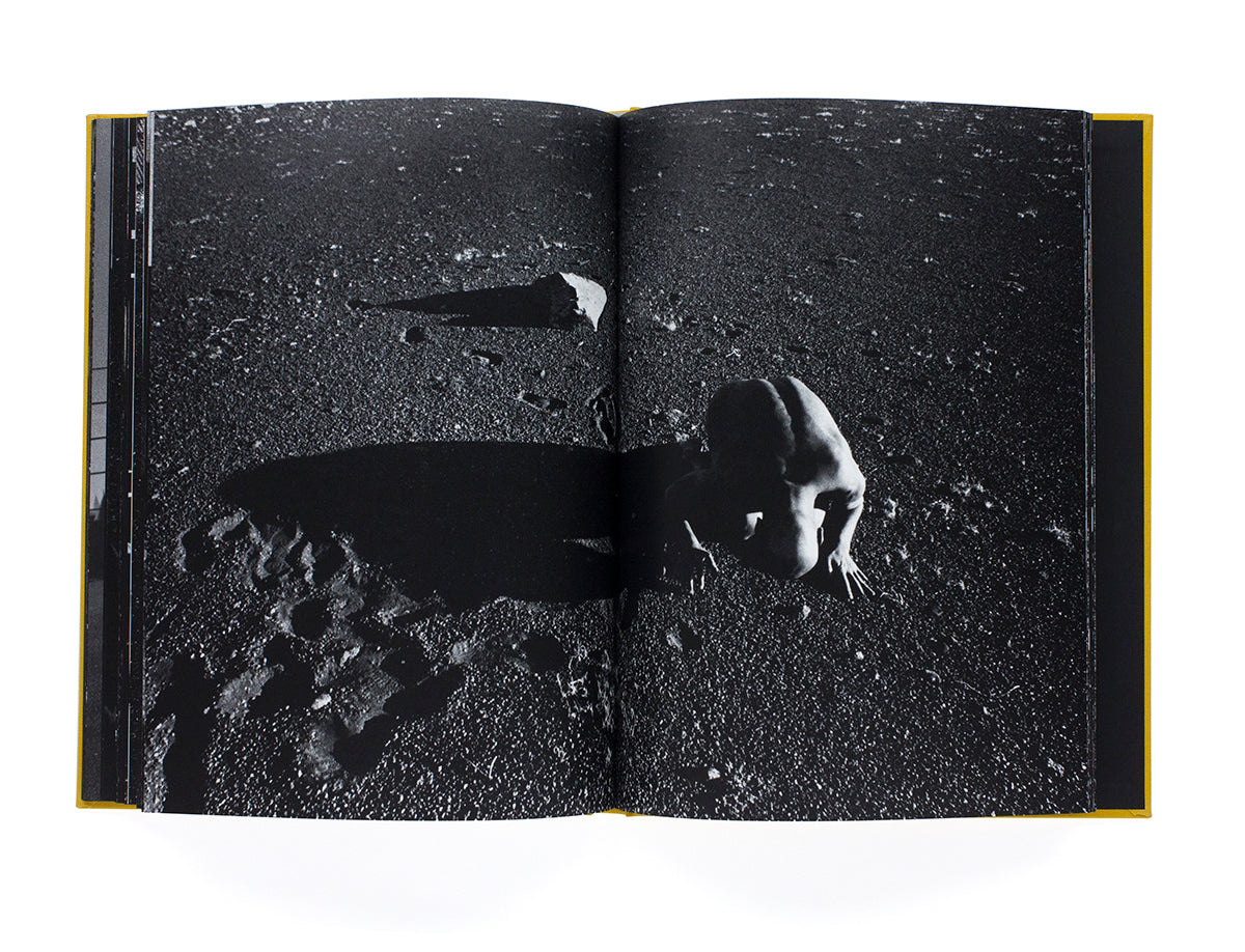 Keiichi Tahara - Photosynthesis