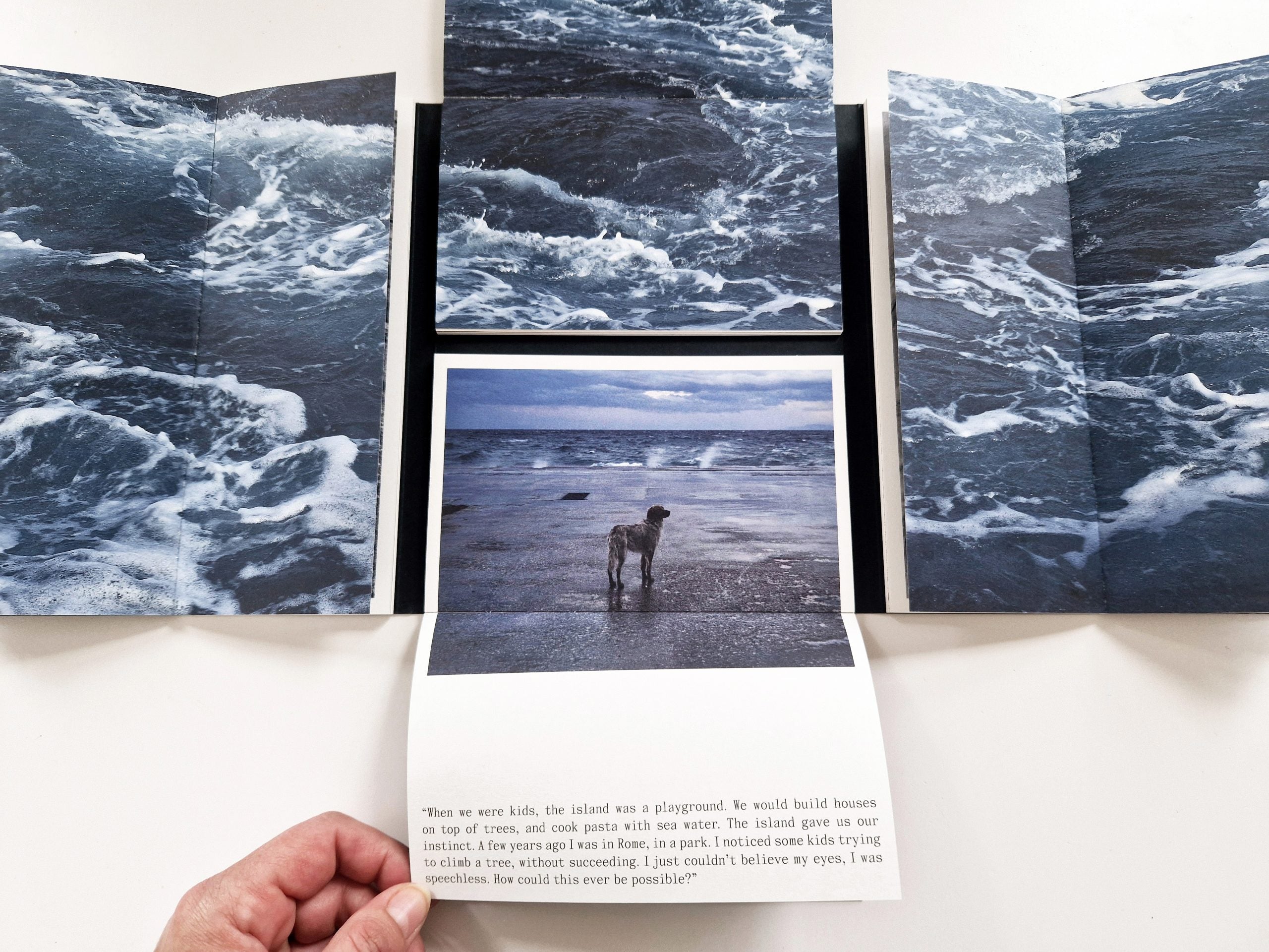 G.Chiapparini & C.Marrese - Thinking Like an Island