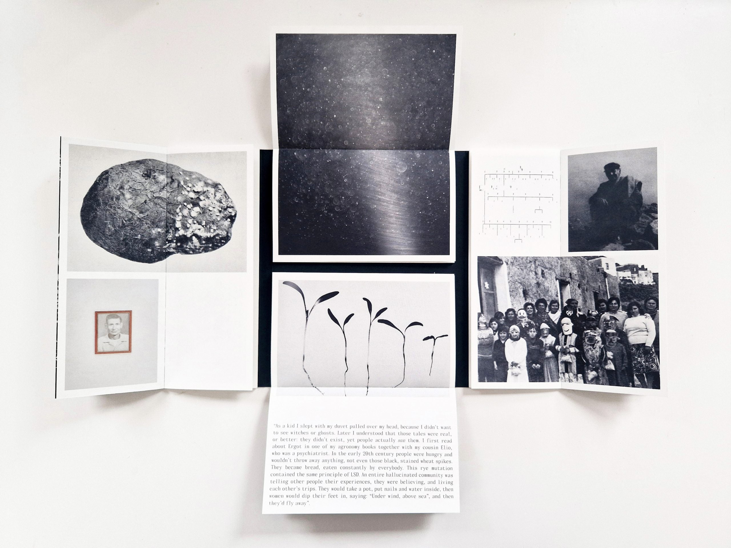 G.Chiapparini & C.Marrese - Thinking Like an Island