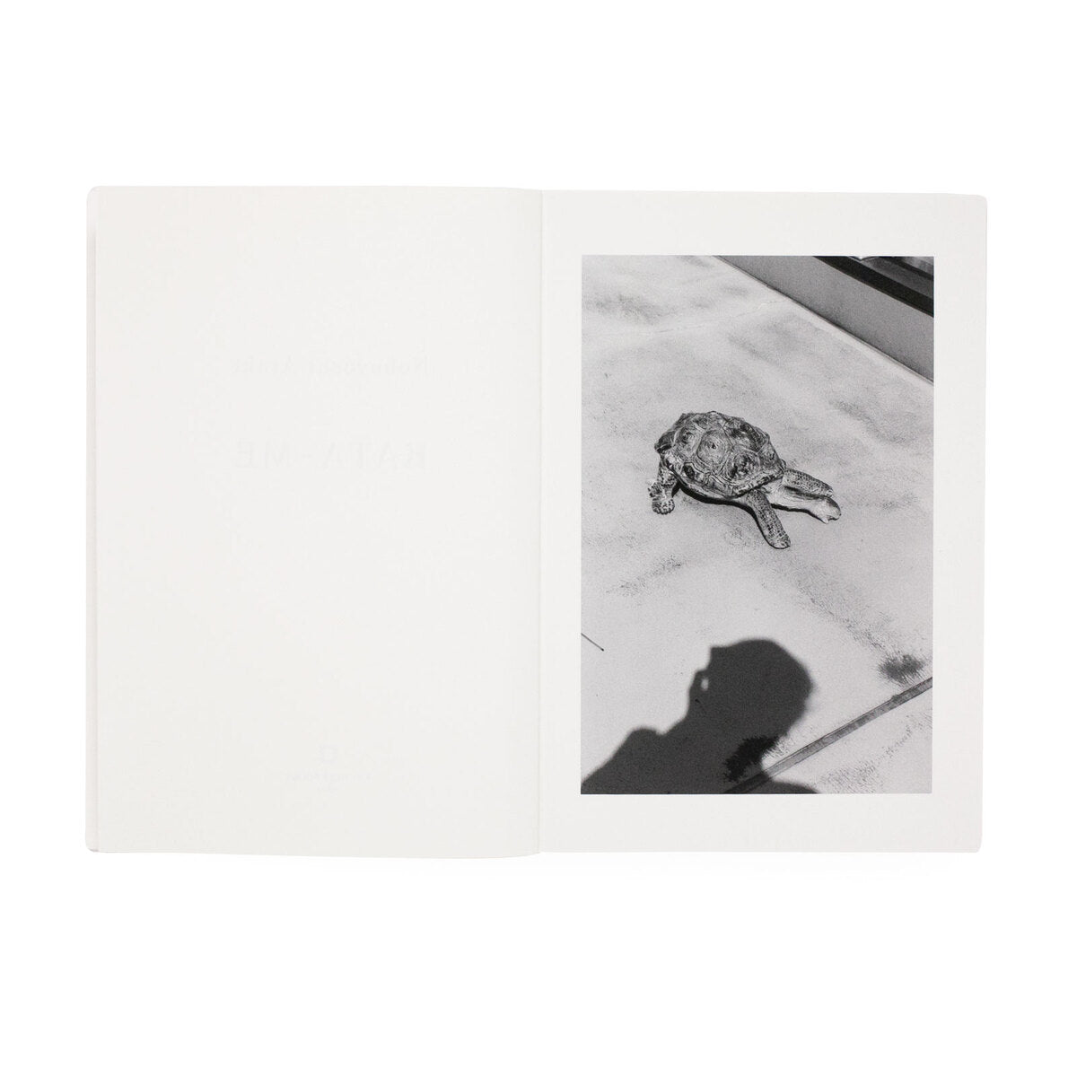 Nobuyoshi Araki - Kata Me