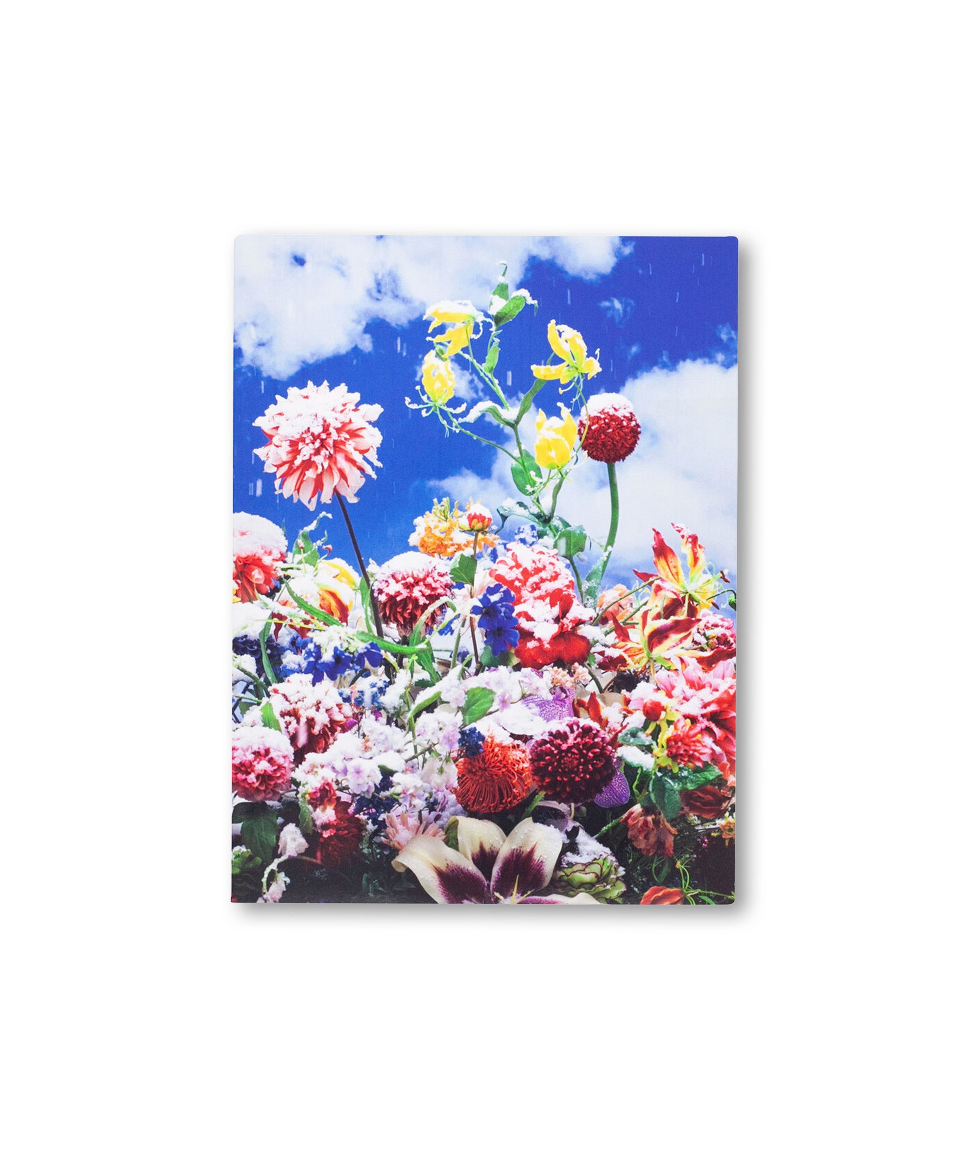 Mika Ninagawa – Eternity in a Moment Vol 1