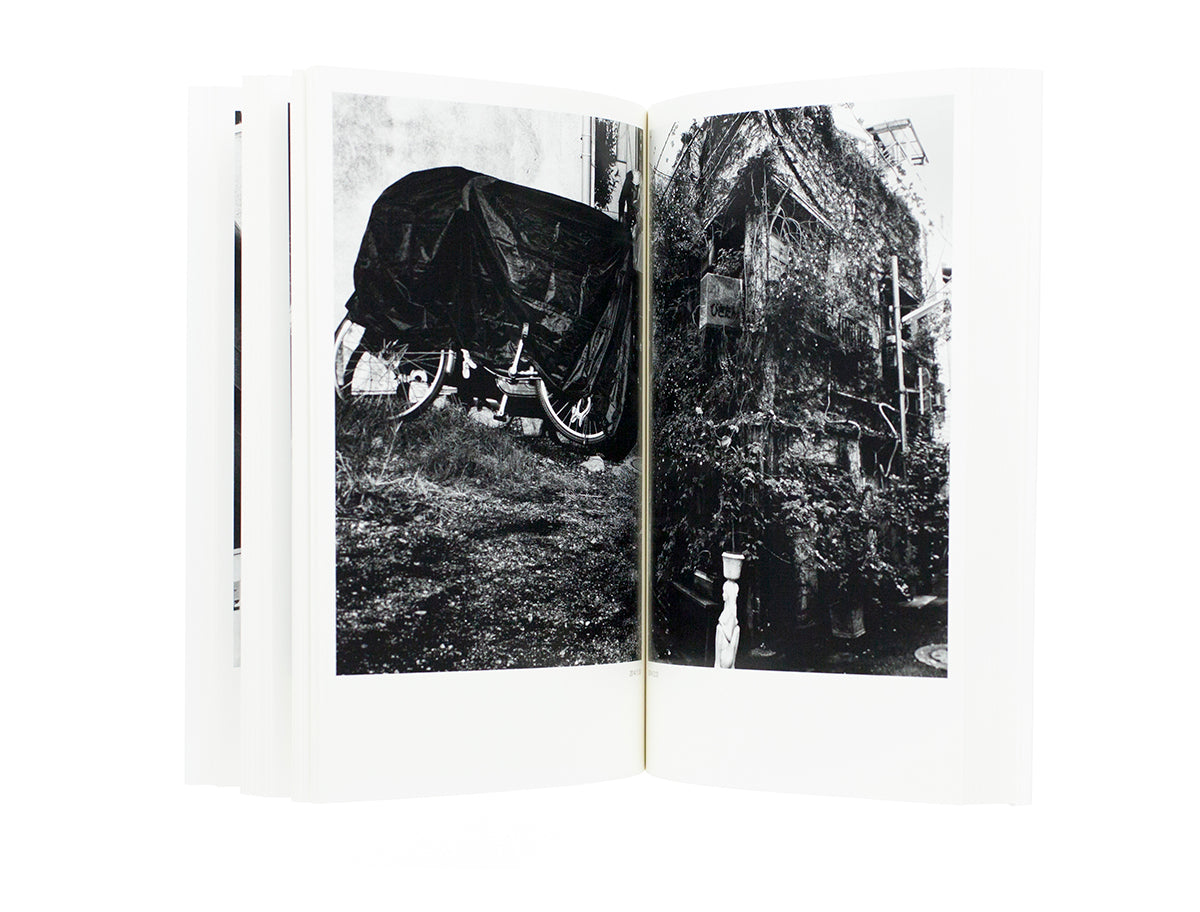 Daido Moriyama - Dog and Mesh Tights
