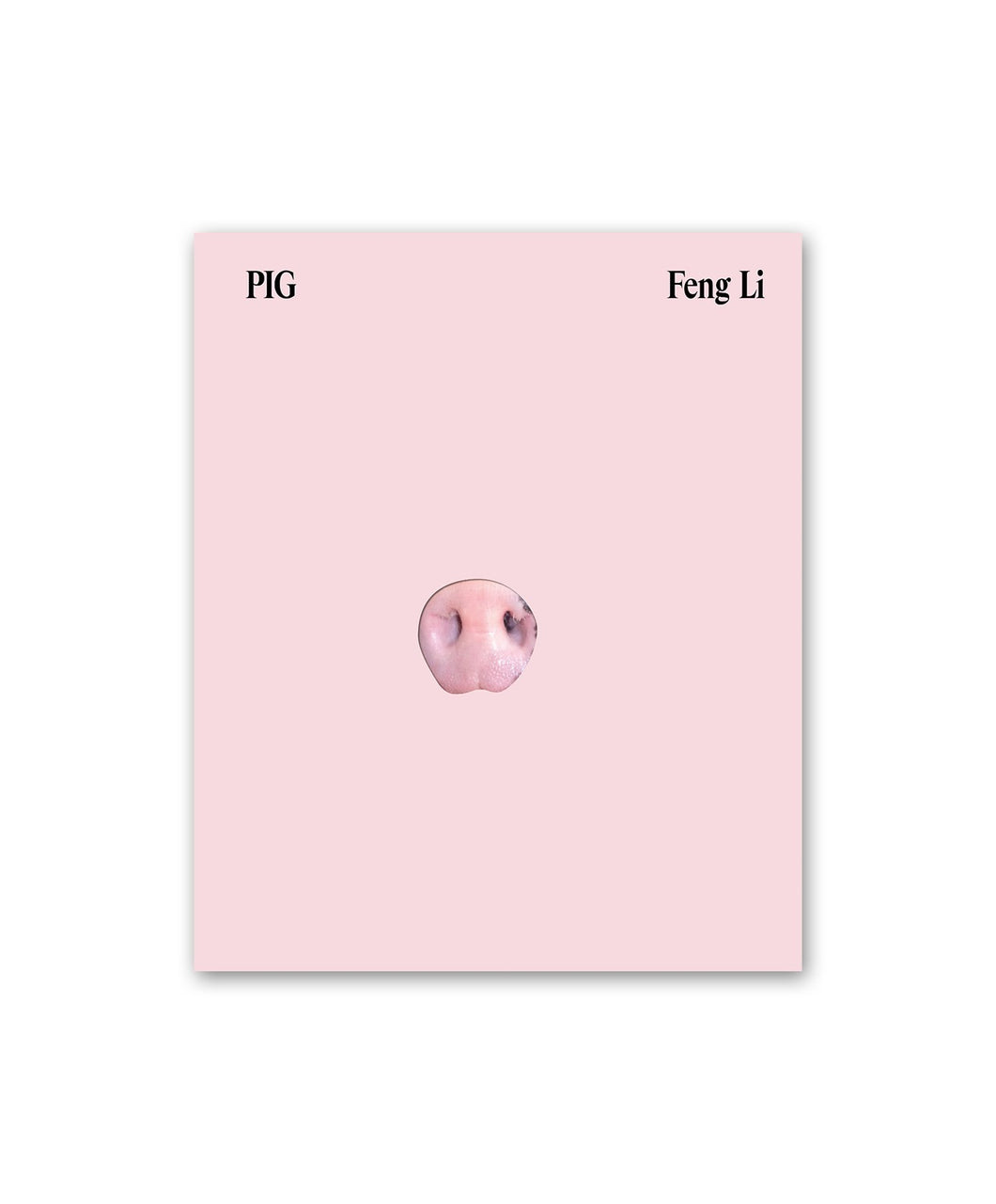 FENG LI - PIG