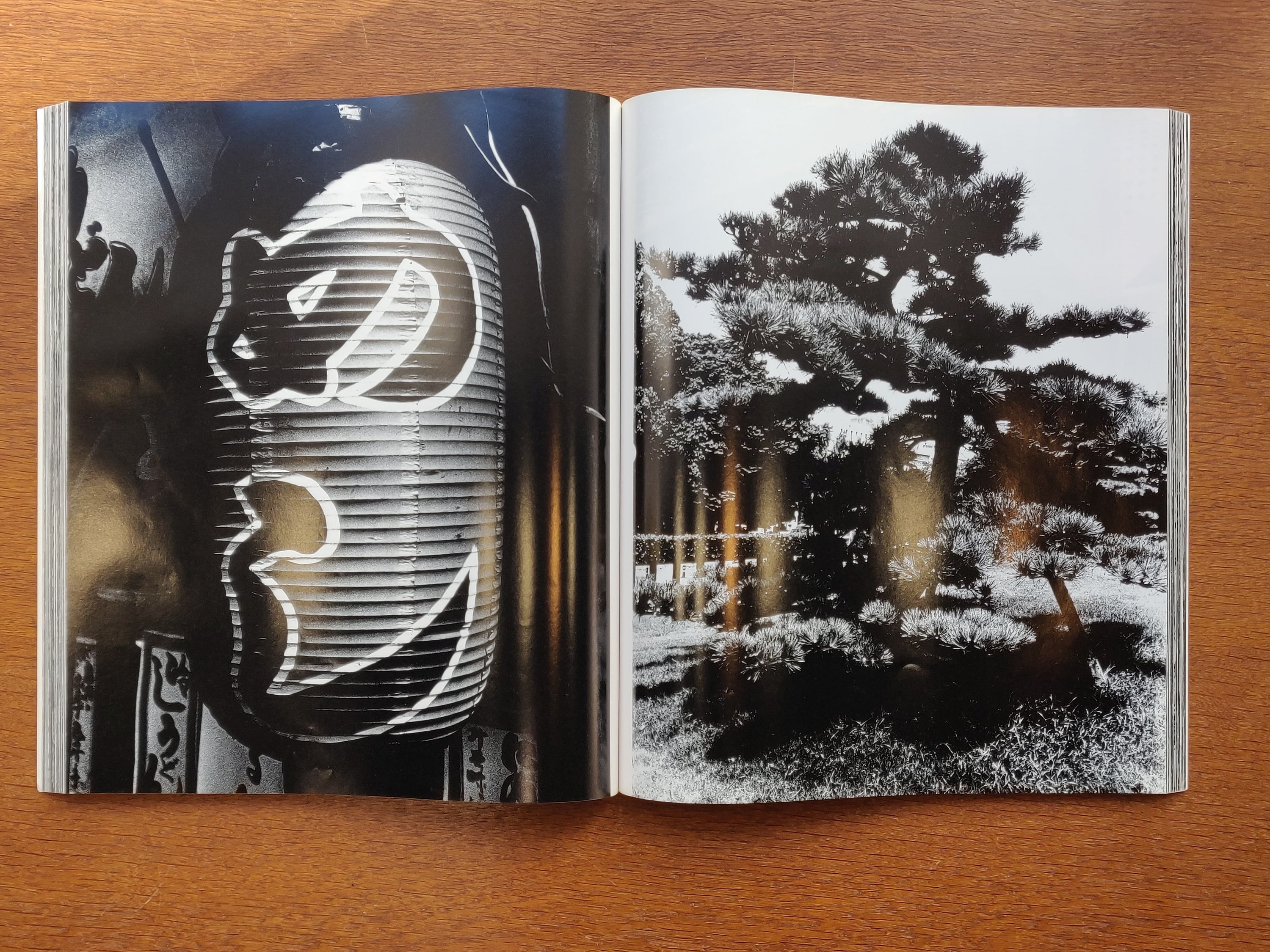 Daido Moriyama - Hysteric n°8