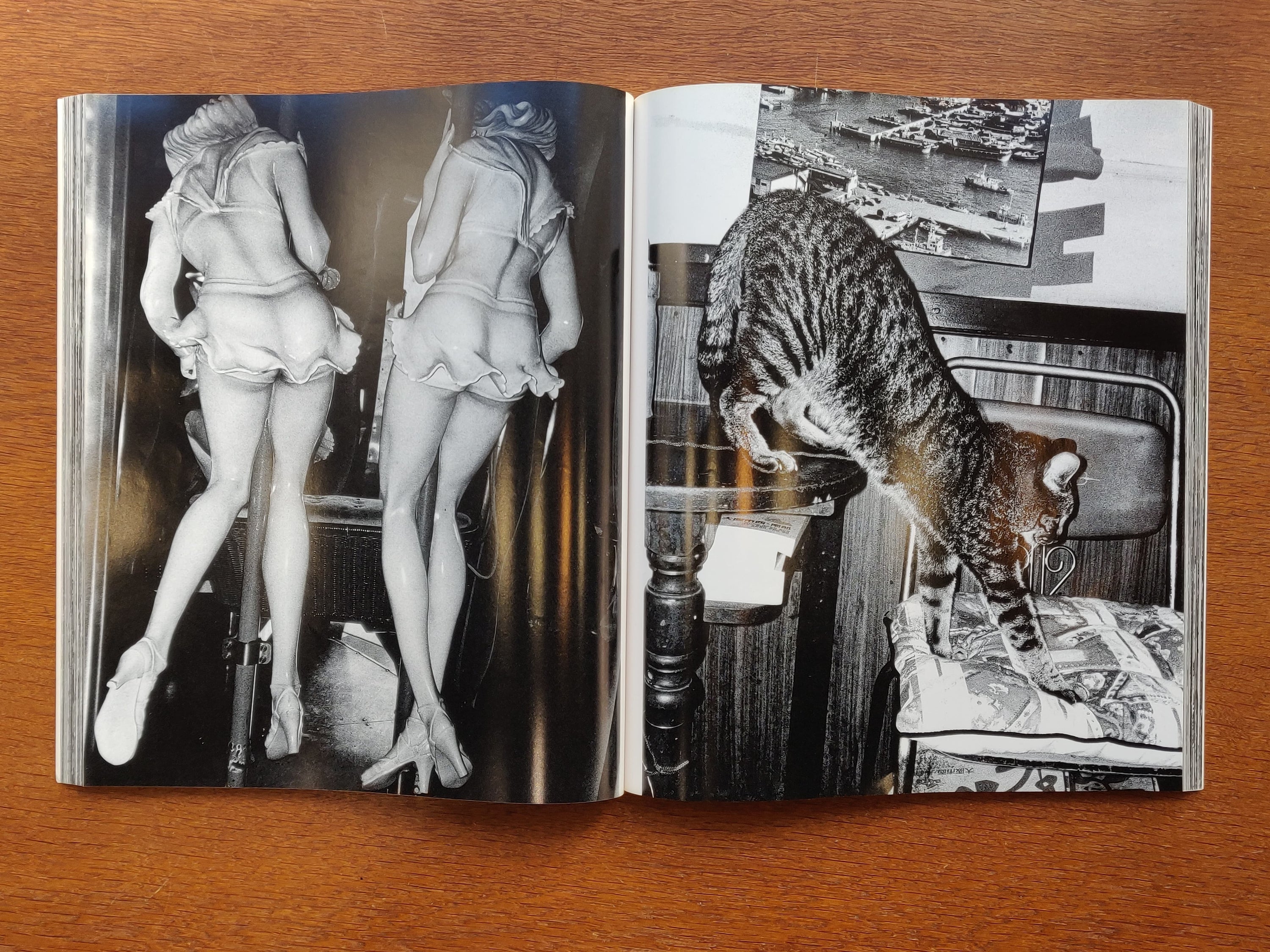 Daido Moriyama - Hysteric n°8