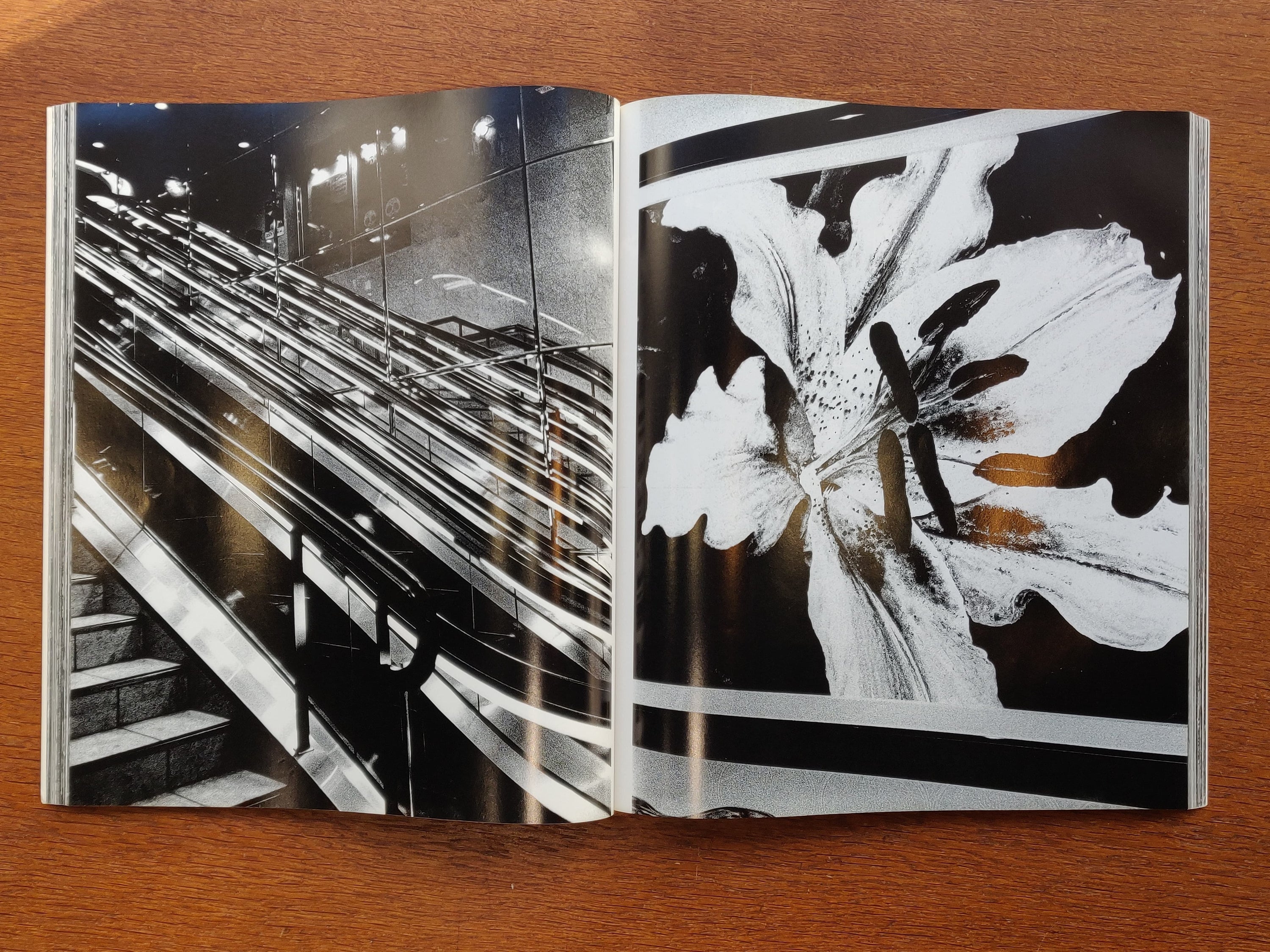 Daido Moriyama - Hysteric n°8
