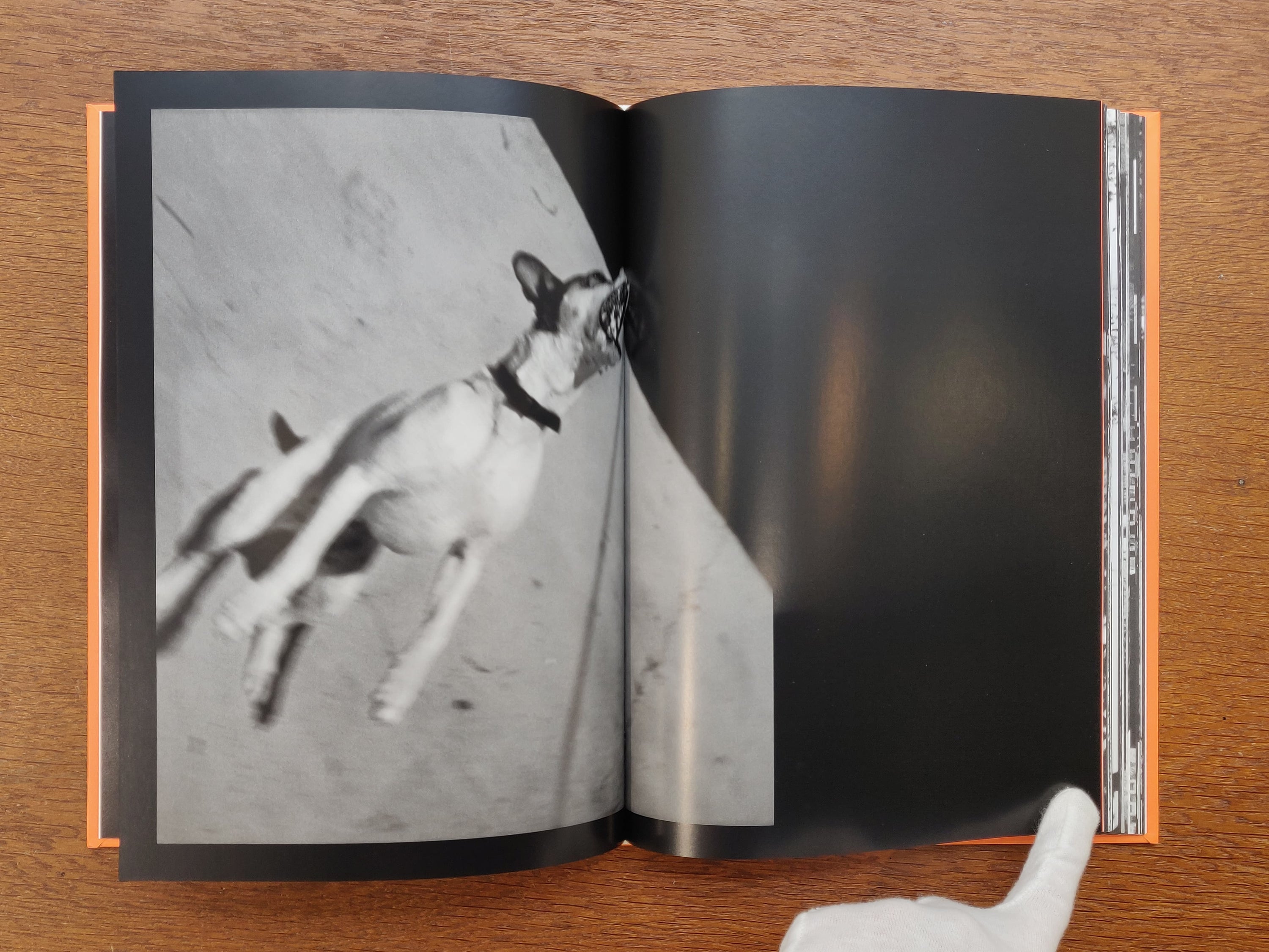 Daido Moriyama & Alberto Garcia-Alix - Far From Home