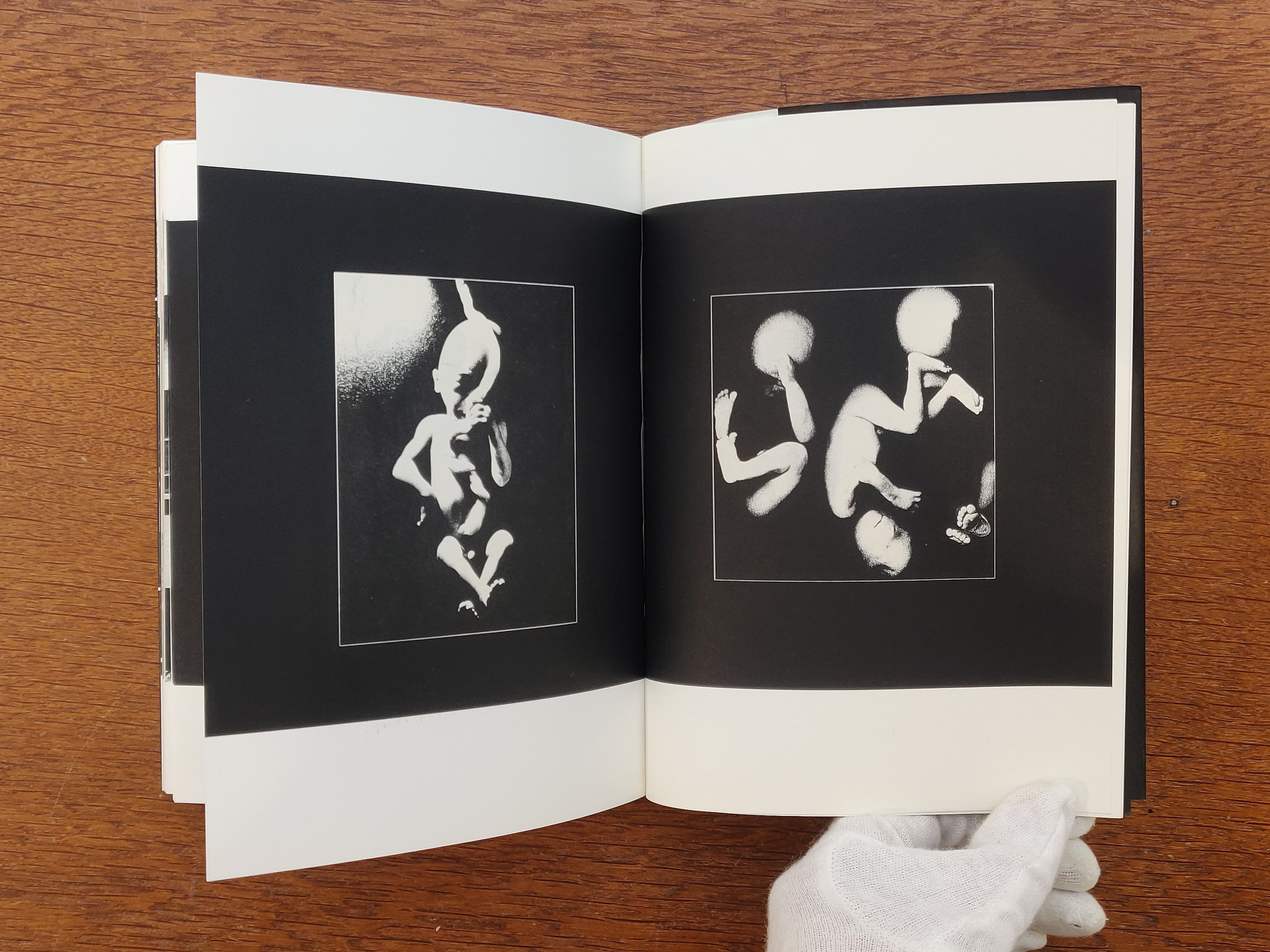 Daido Moriyama - Japan: a Photo Theater, Revised Edition