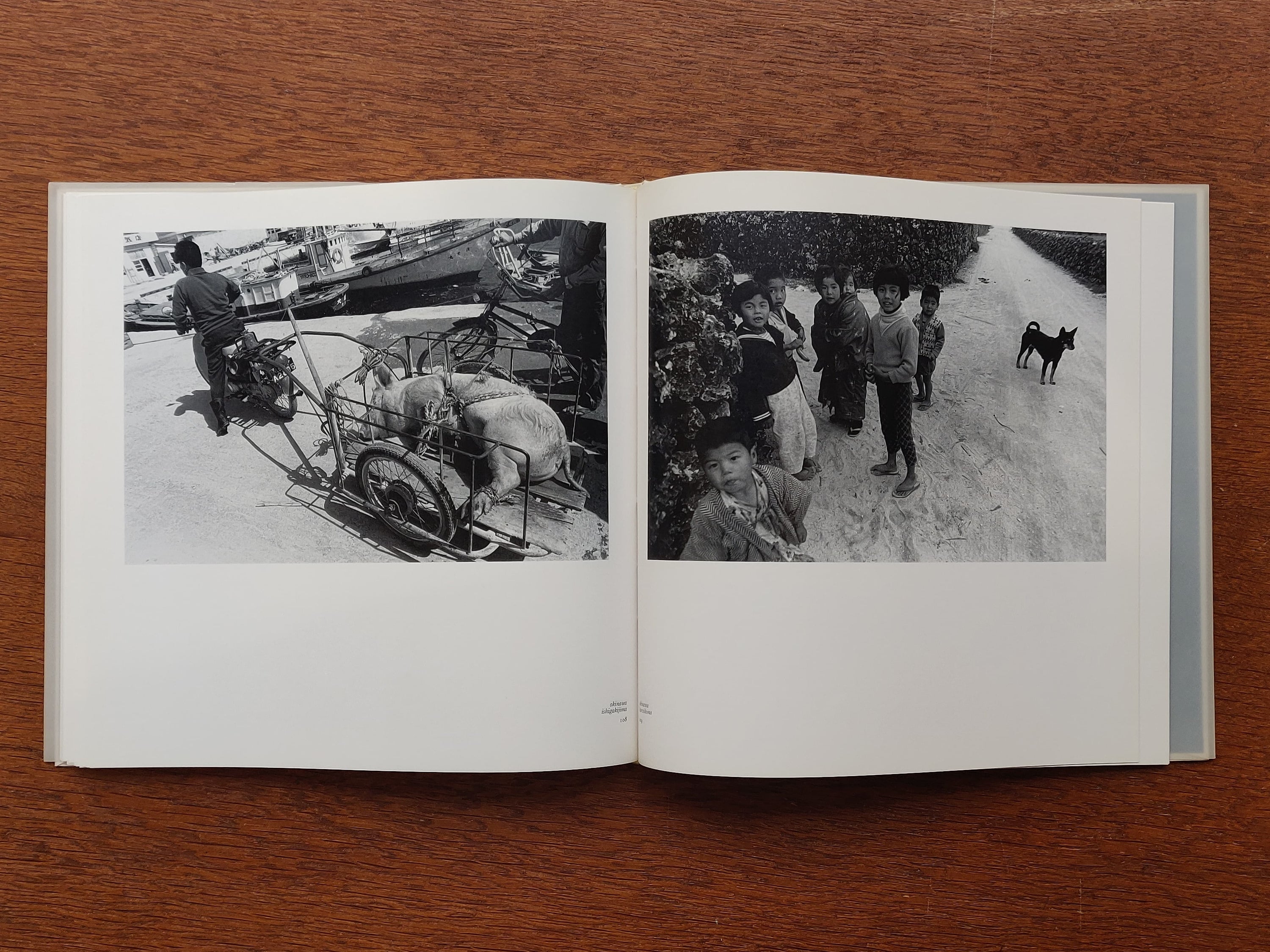 Shin Yanagisawa - Photographs 1964-1986