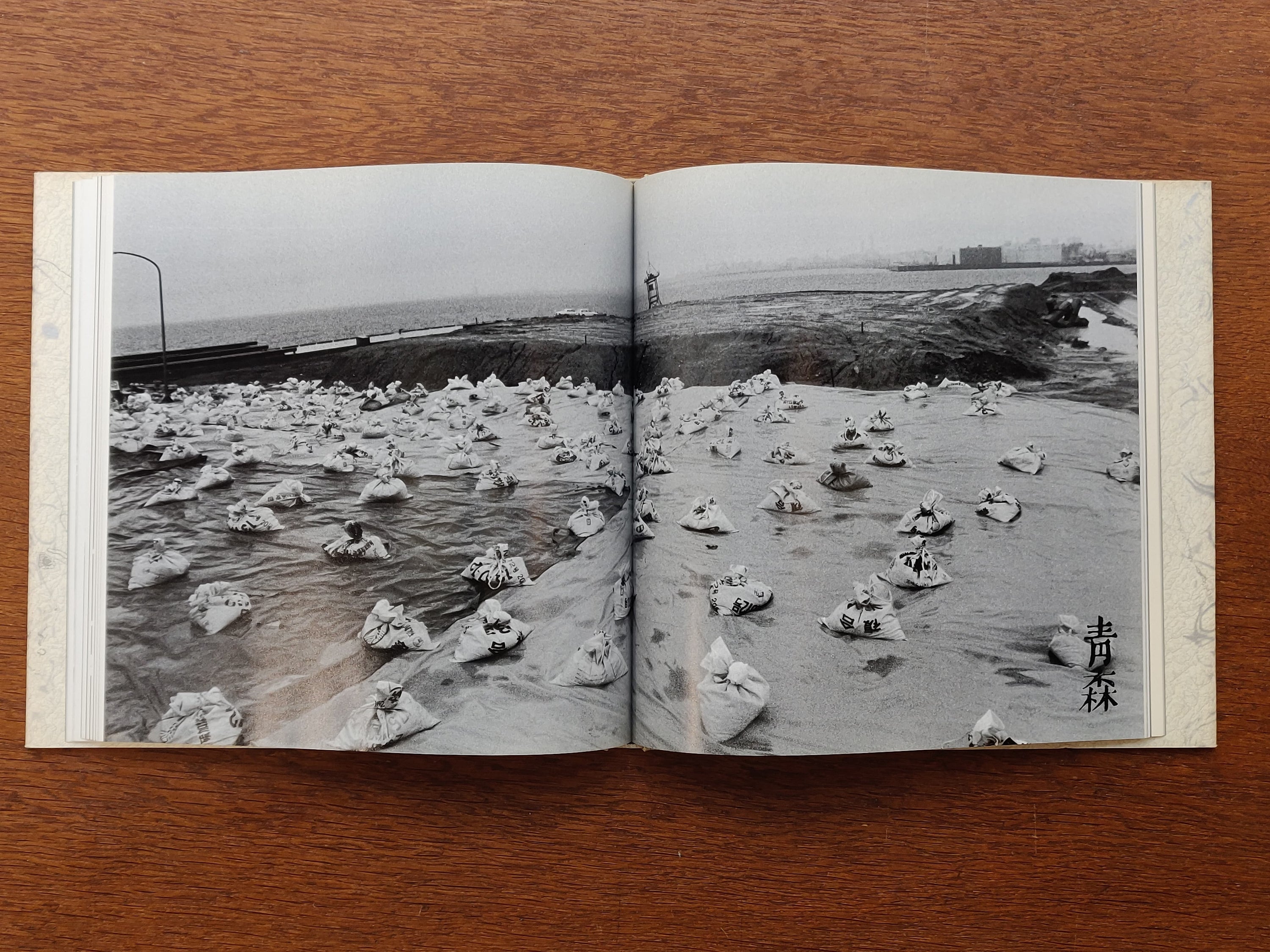 Yutaka Takanashi - Pre-landscape