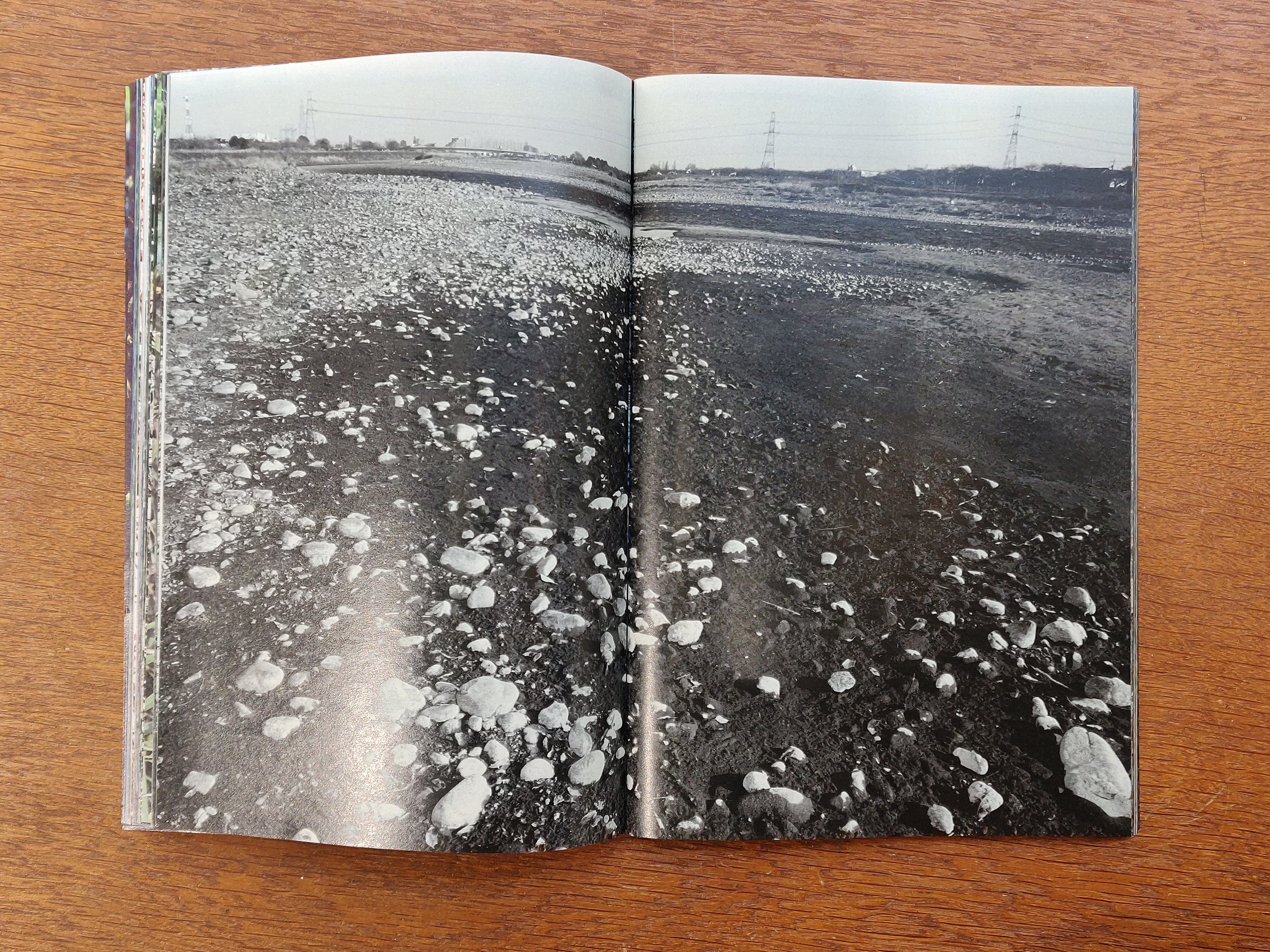 Daisuke Yokota - Plants, Midstream of Tama River, Winter (signed)