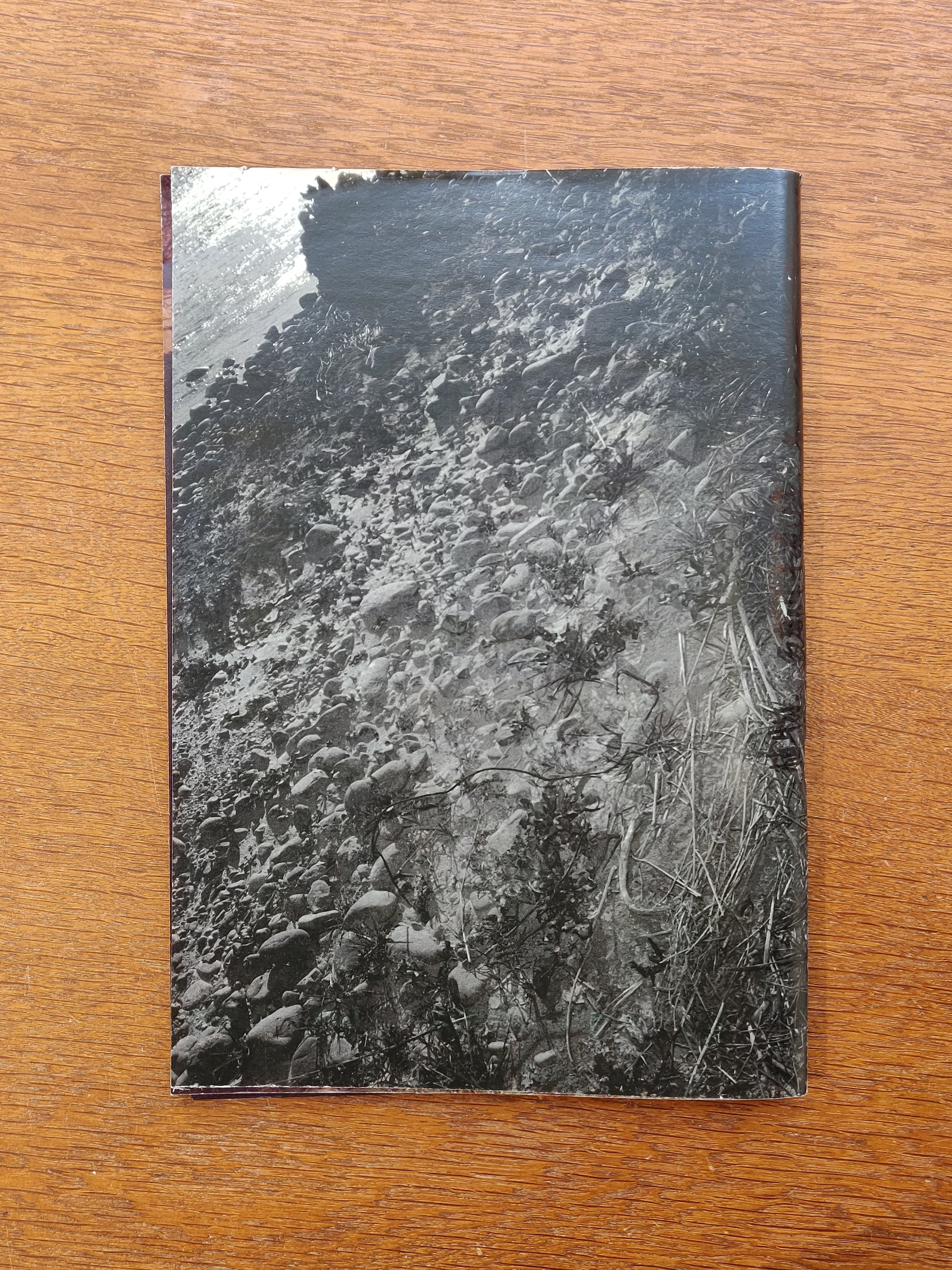 Daisuke Yokota - Plants, Midstream of Tama River, Winter (signed)