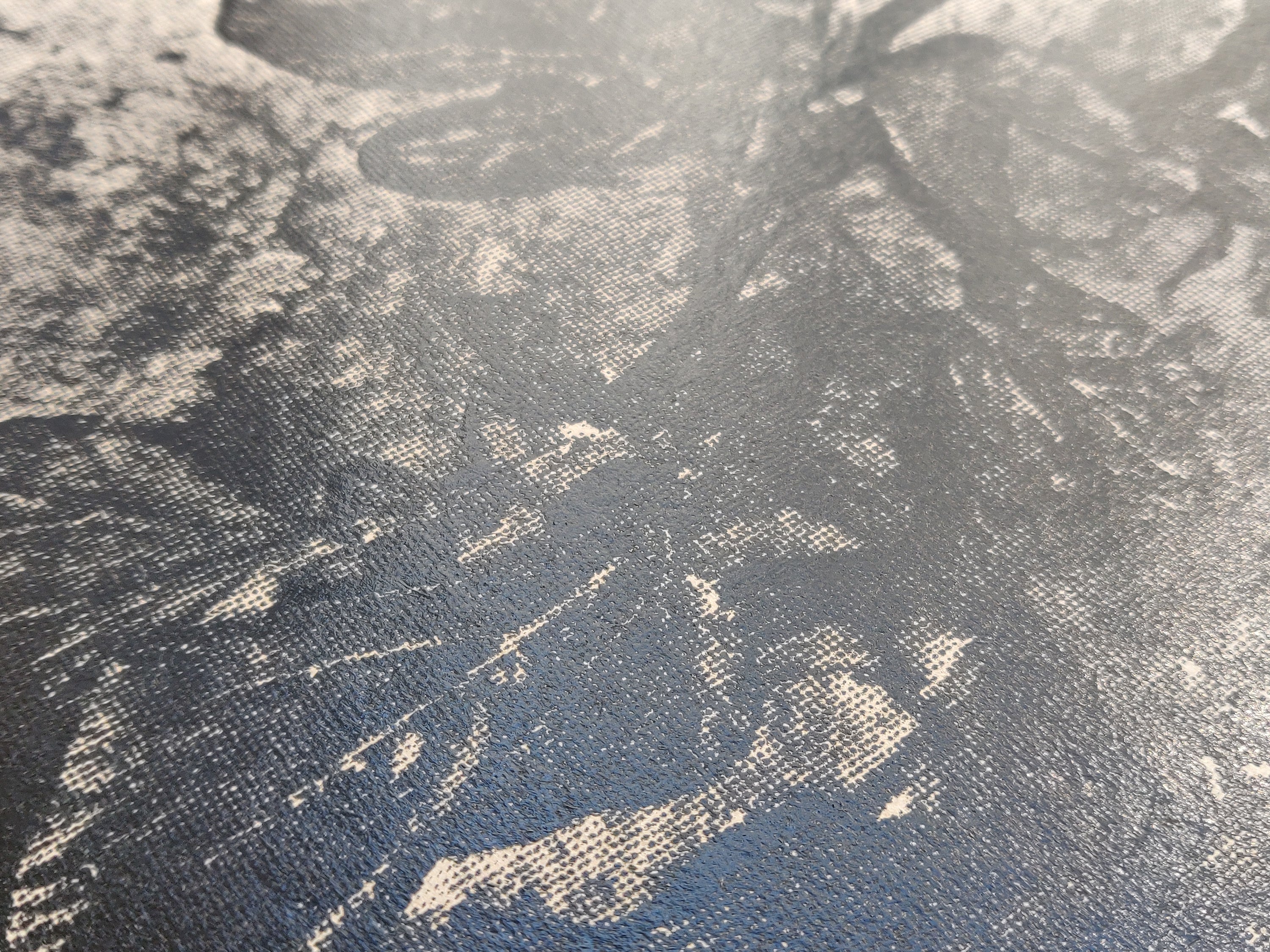 Daisuke Yokota - Plants, Midstream of Tama River, Winter (special edition)