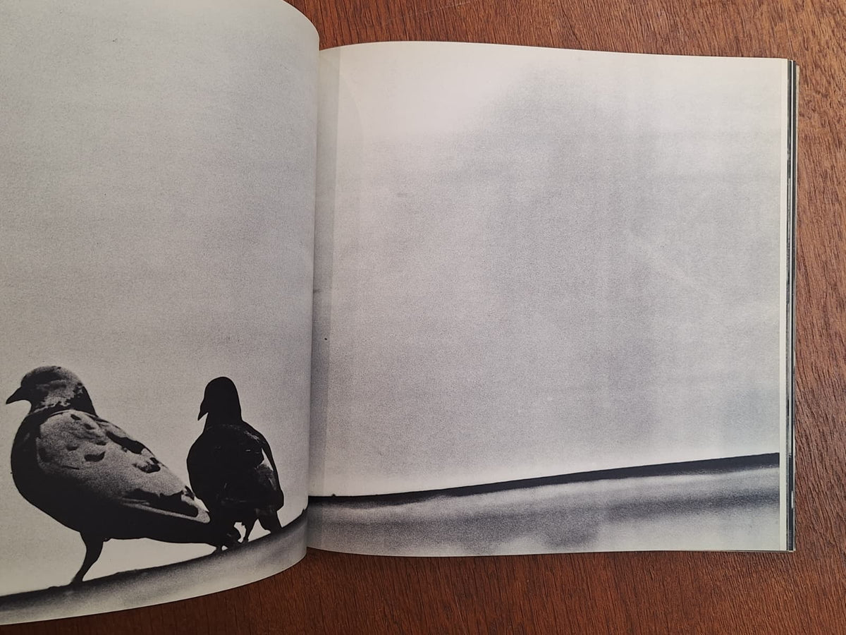 Shomei Tomatsu & Ken Domon - Hiroshima-Nagasaki Document 1961