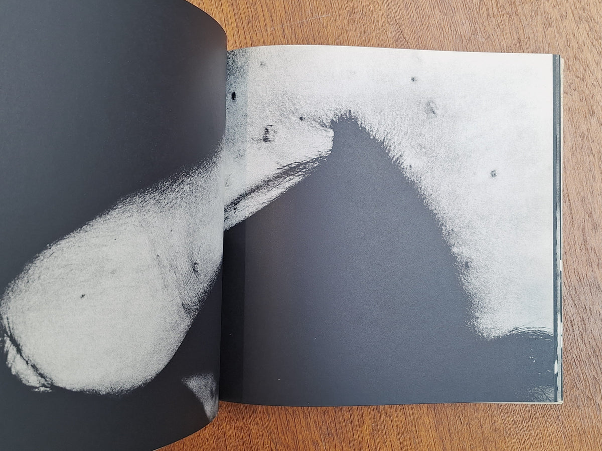 Shomei Tomatsu & Ken Domon - Hiroshima-Nagasaki Document 1961