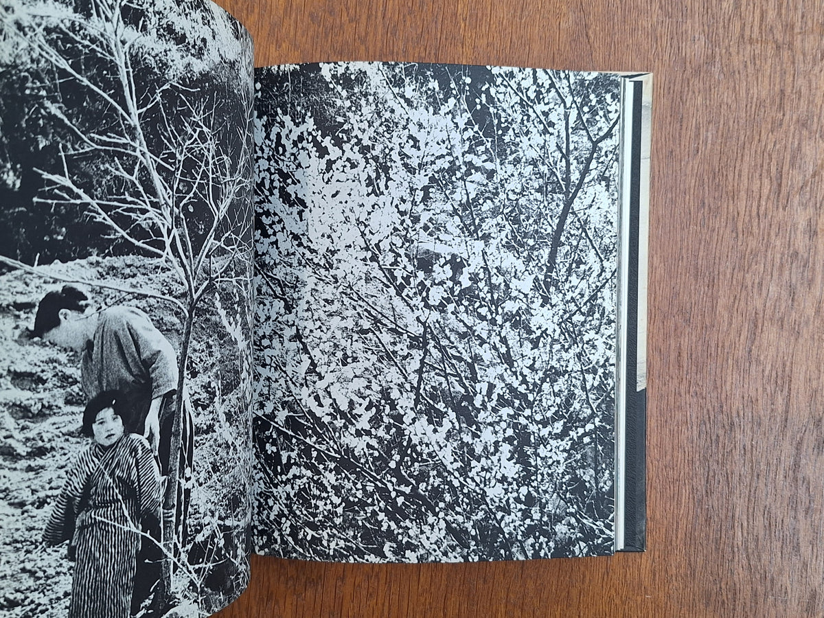 Shomei Tomatsu - <11：02> Nagasaki